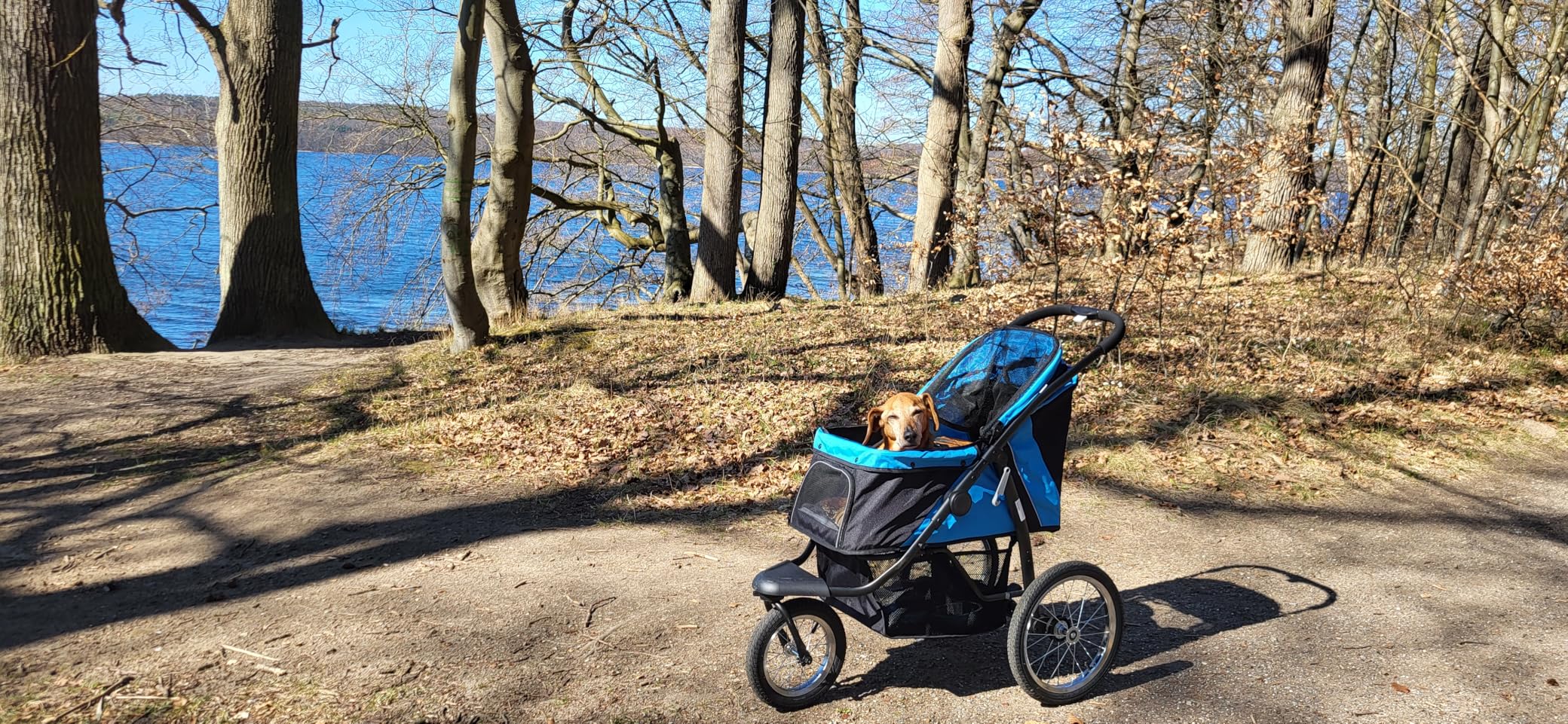 Kundbild från B.C.