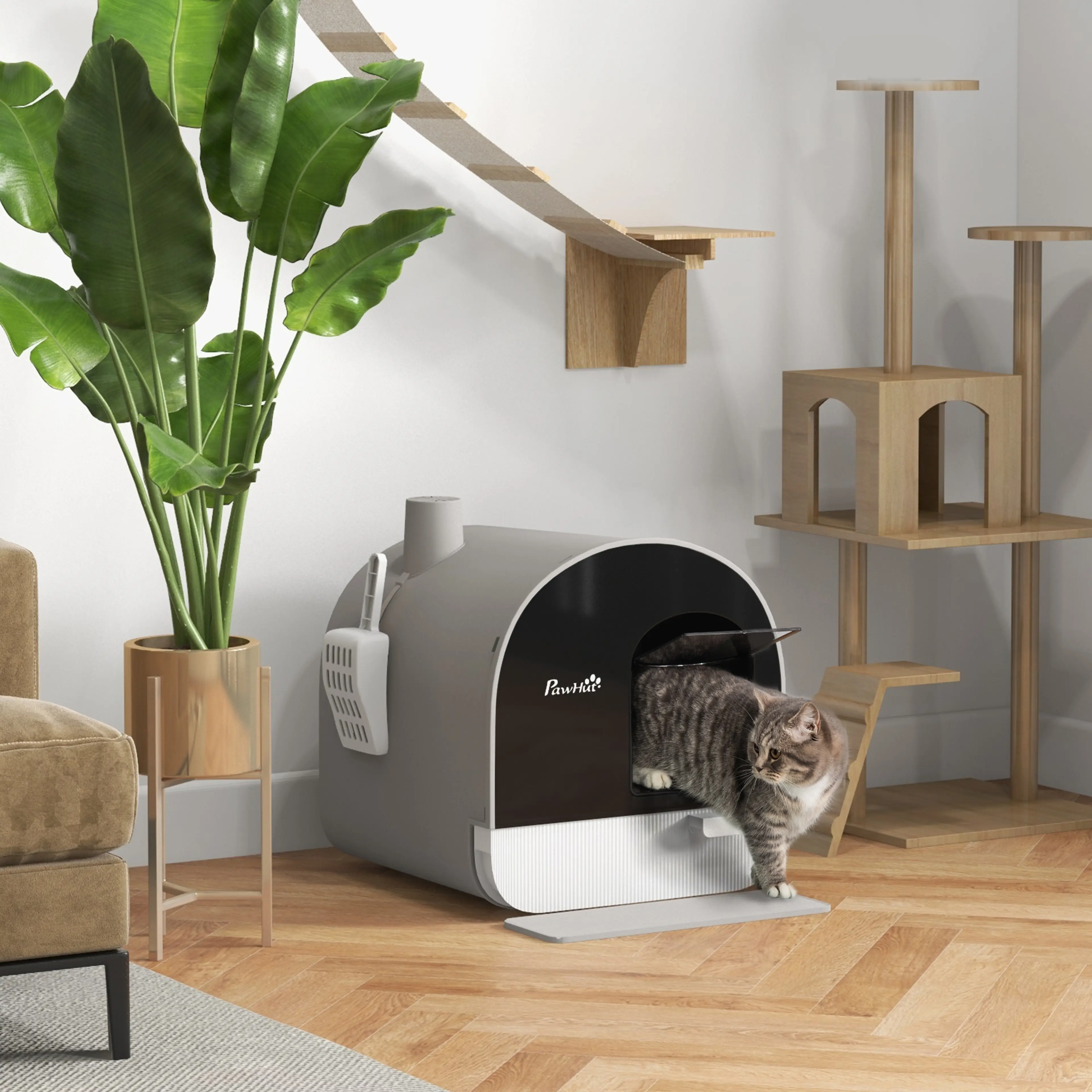 Kattlådan i ett vardagsrum med en katt som kliver ut på mattan