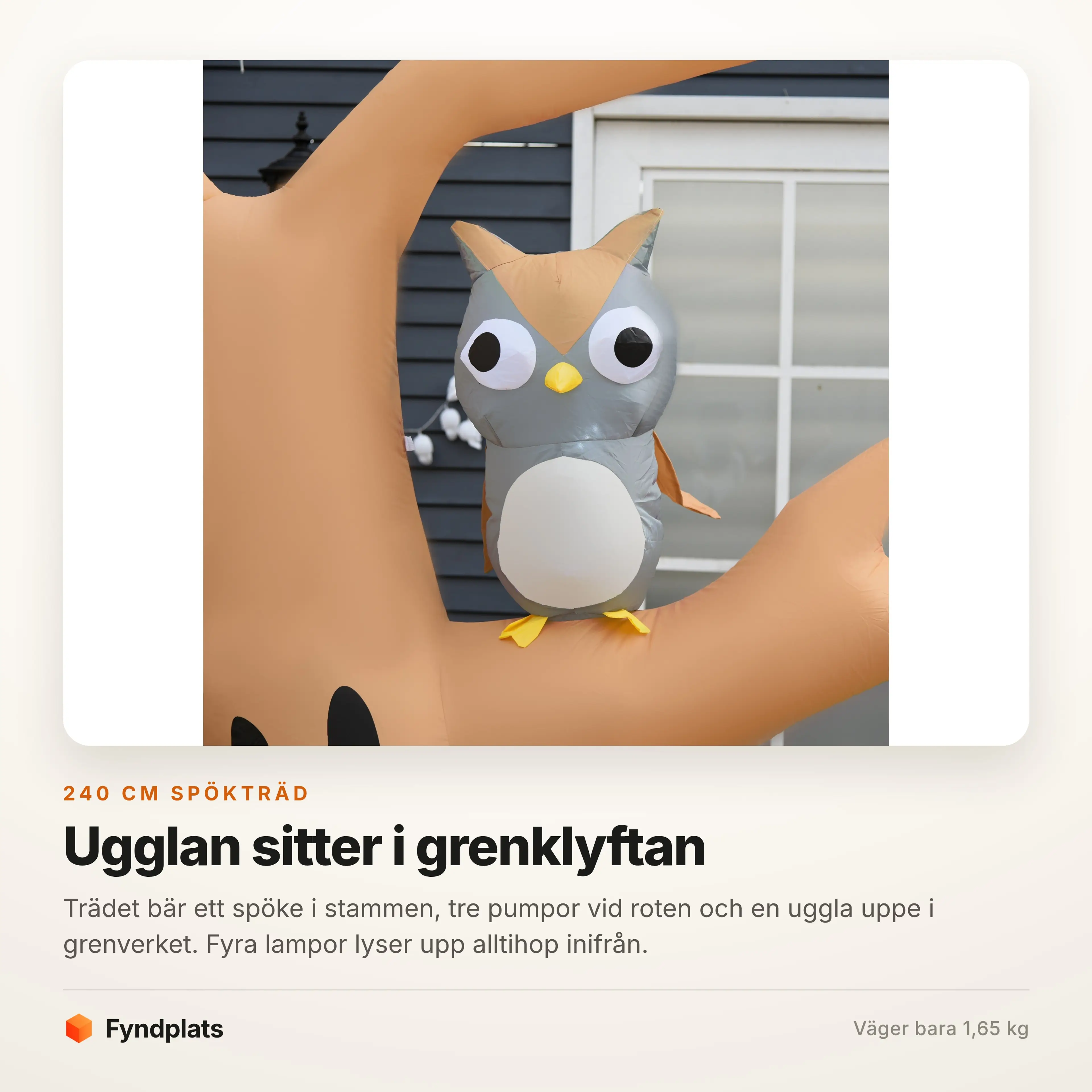 Närbild på ugglan som sitter i grenklyftan