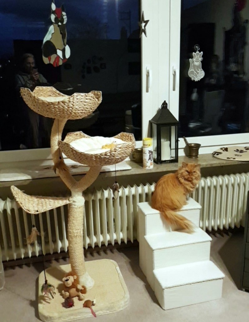 Kundbild från M.N.
