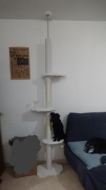 Kundbild från A.B.