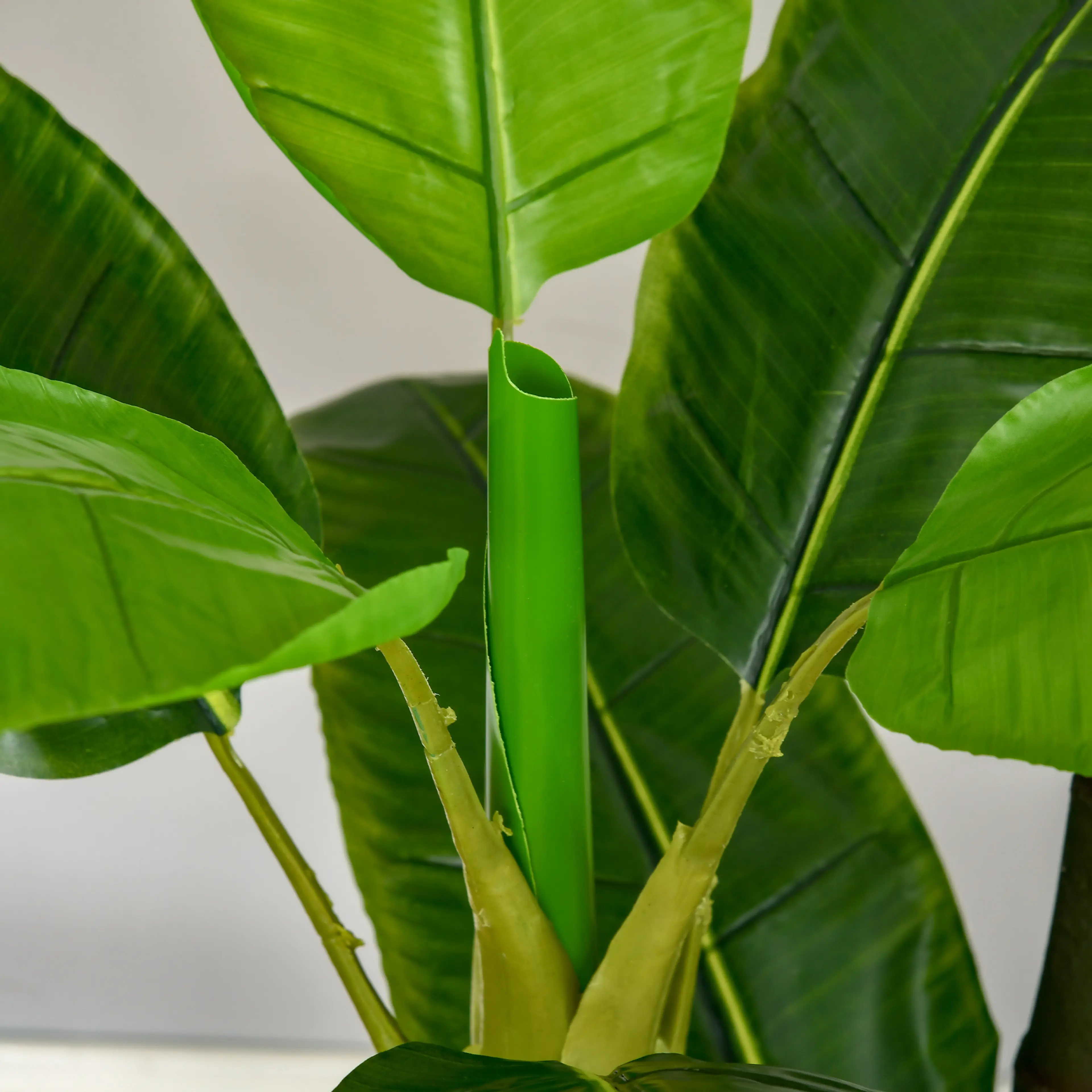Närbild på bananväxtens stam och blad