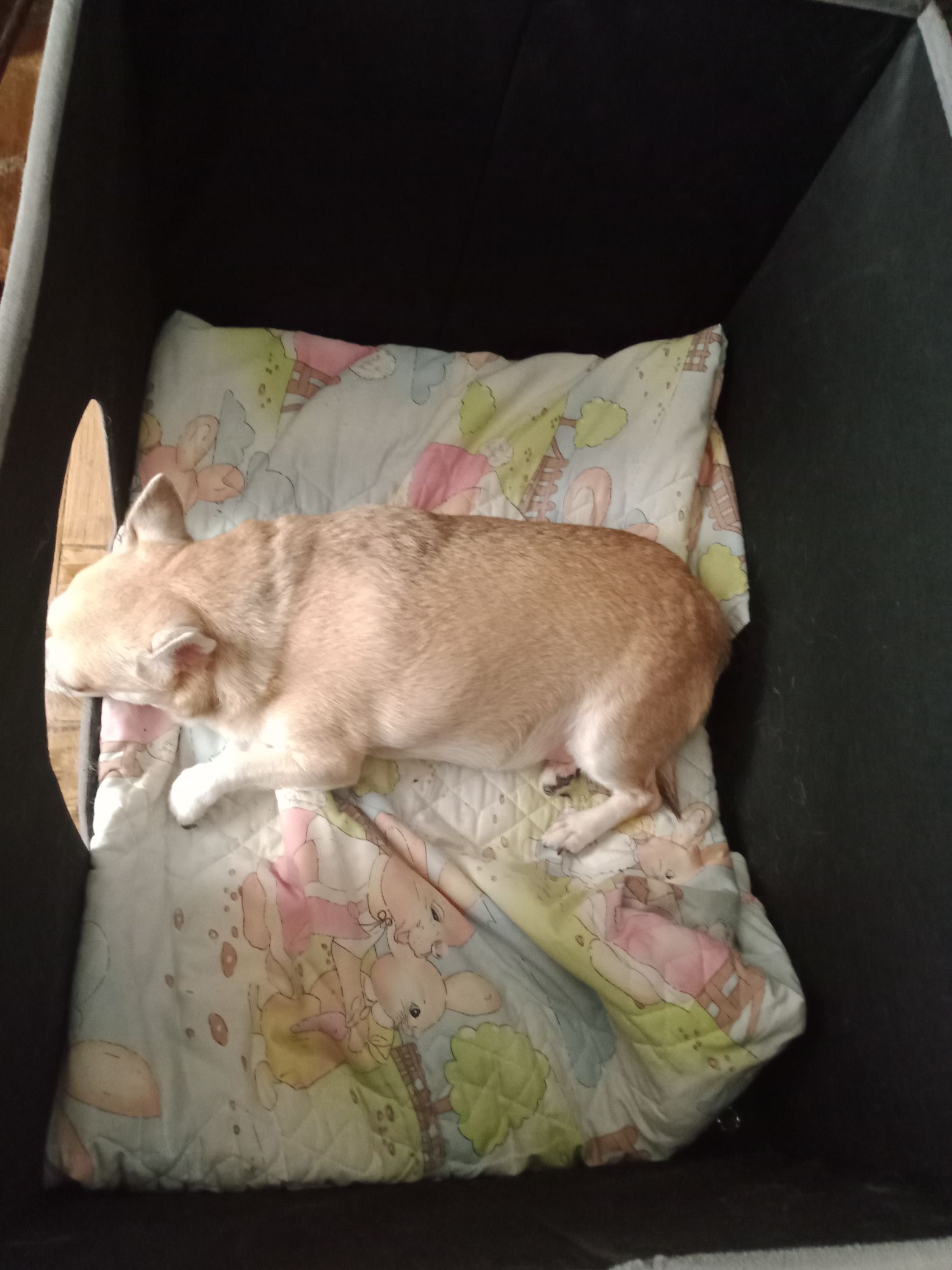 Kundbild från J.K.