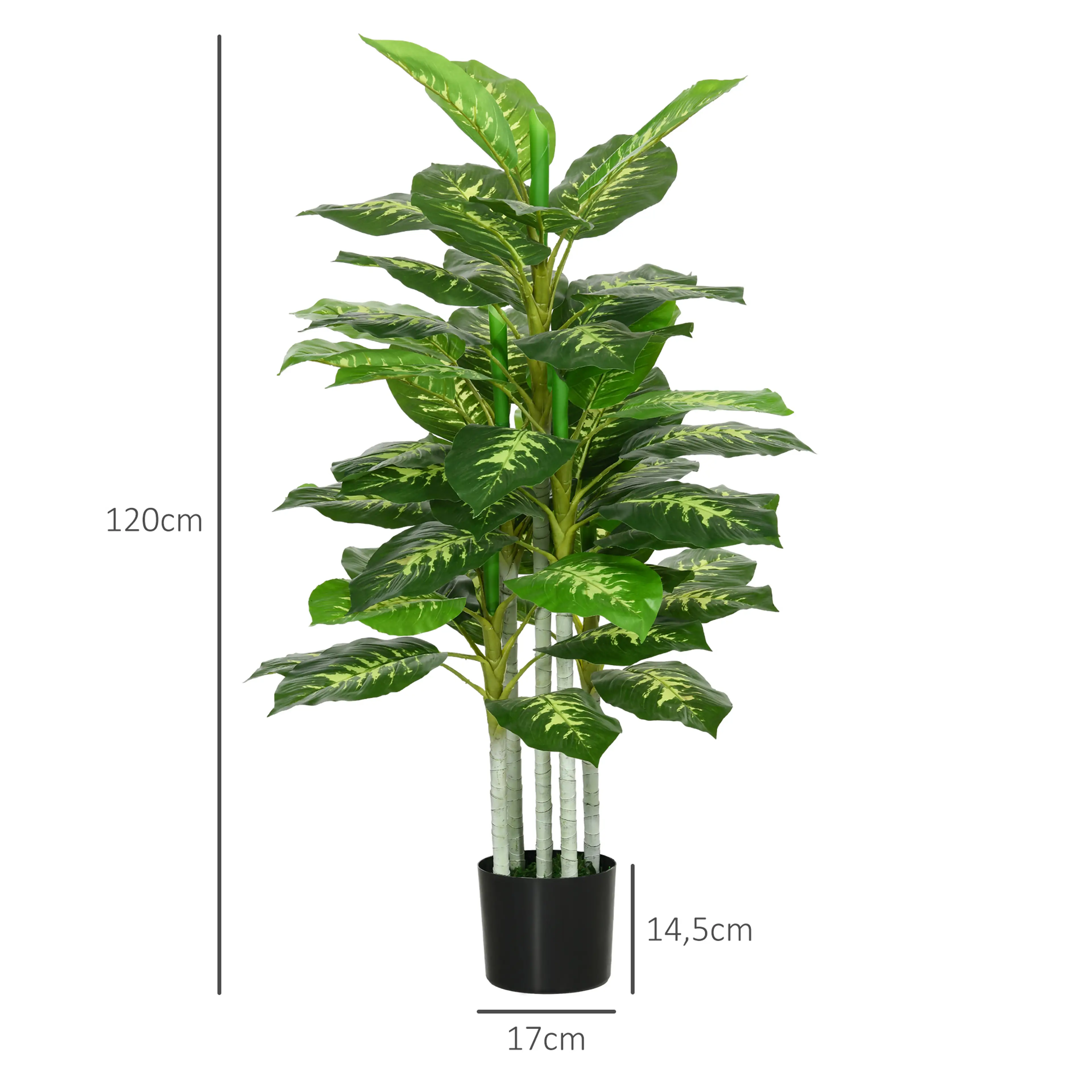 Måttbild: växten är 120 cm hög och krukan Ø17 cm och 14,5 cm hög