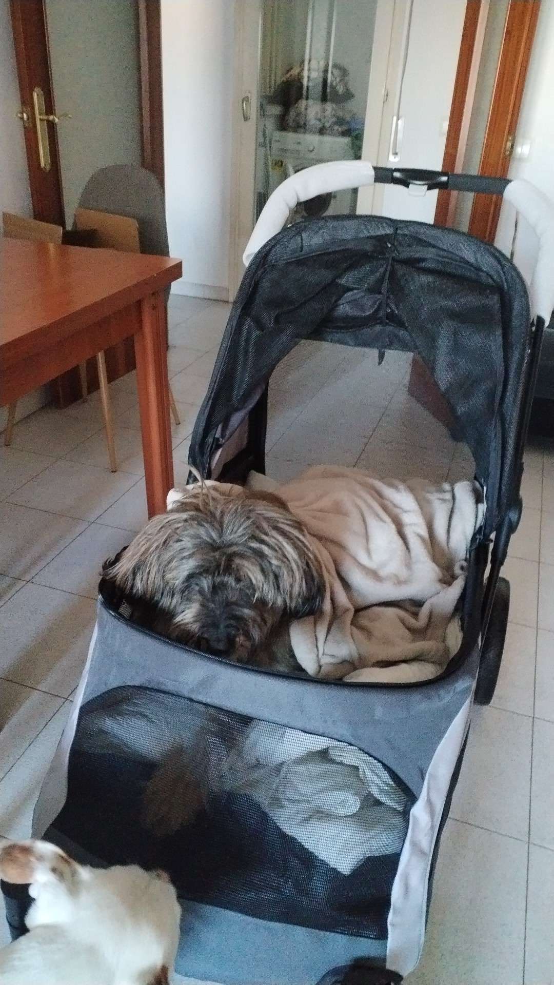 Kundbild från B.C.