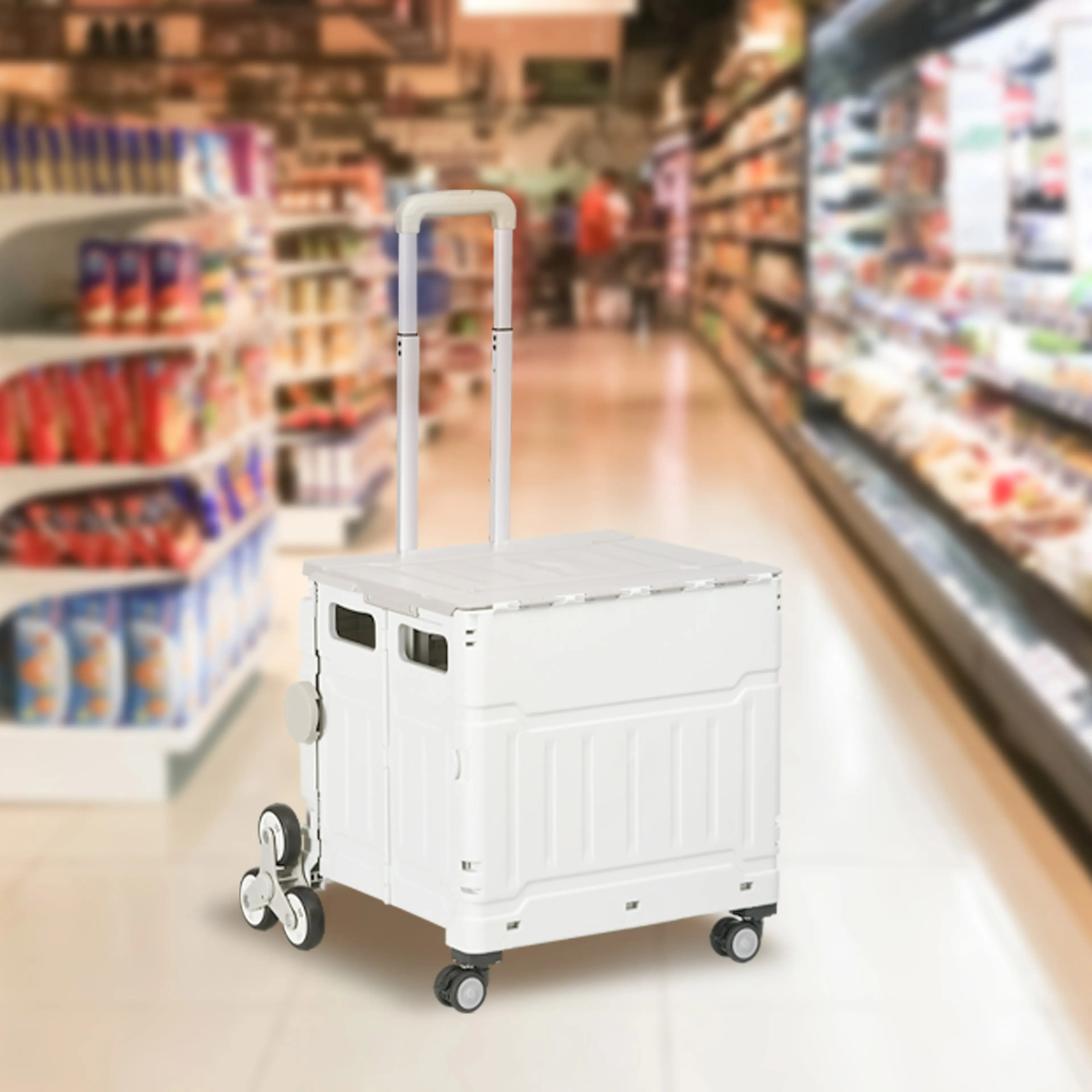 Shoppingvagnen i en mataffär mellan hyllorna