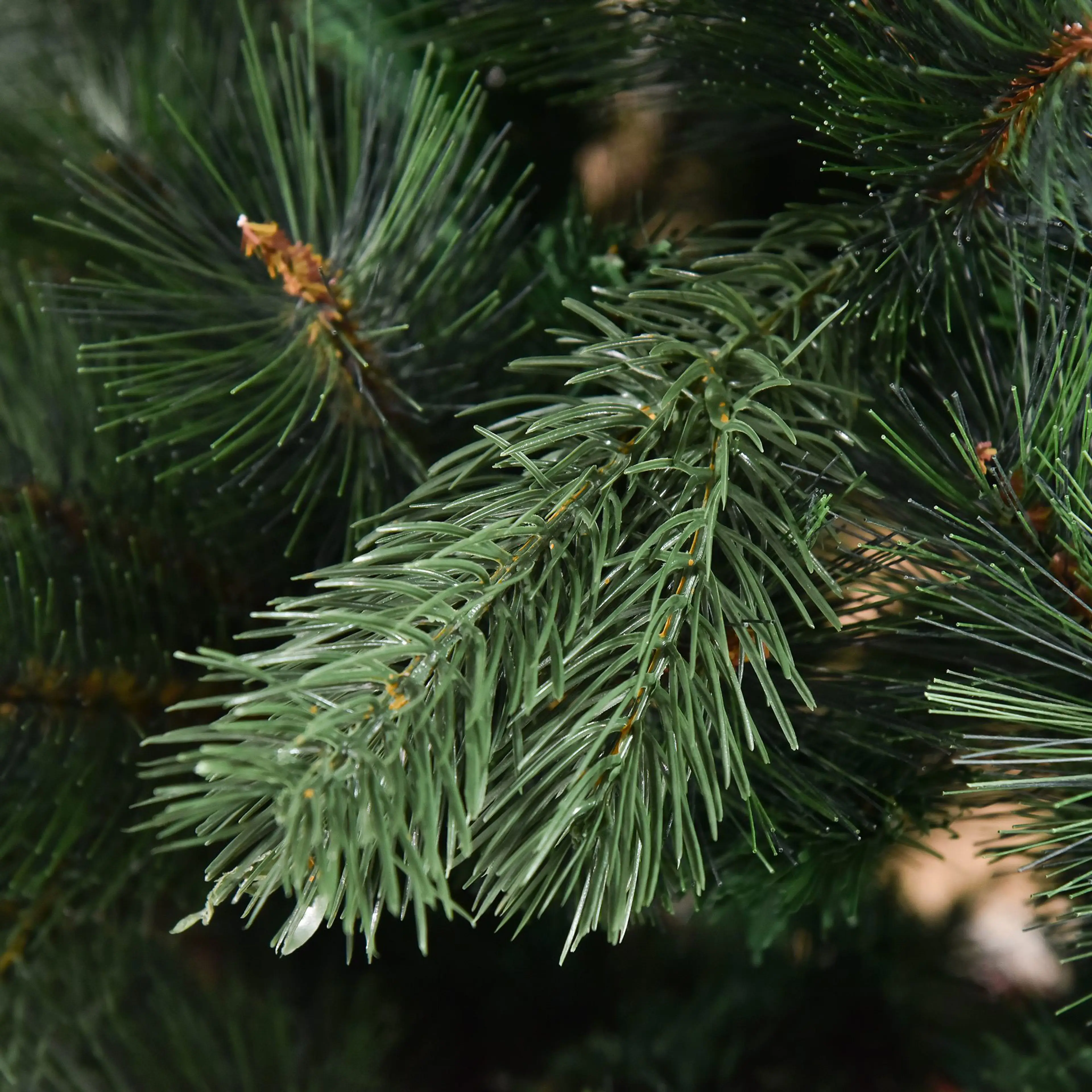 Detalj av barren mot ljus bakgrund