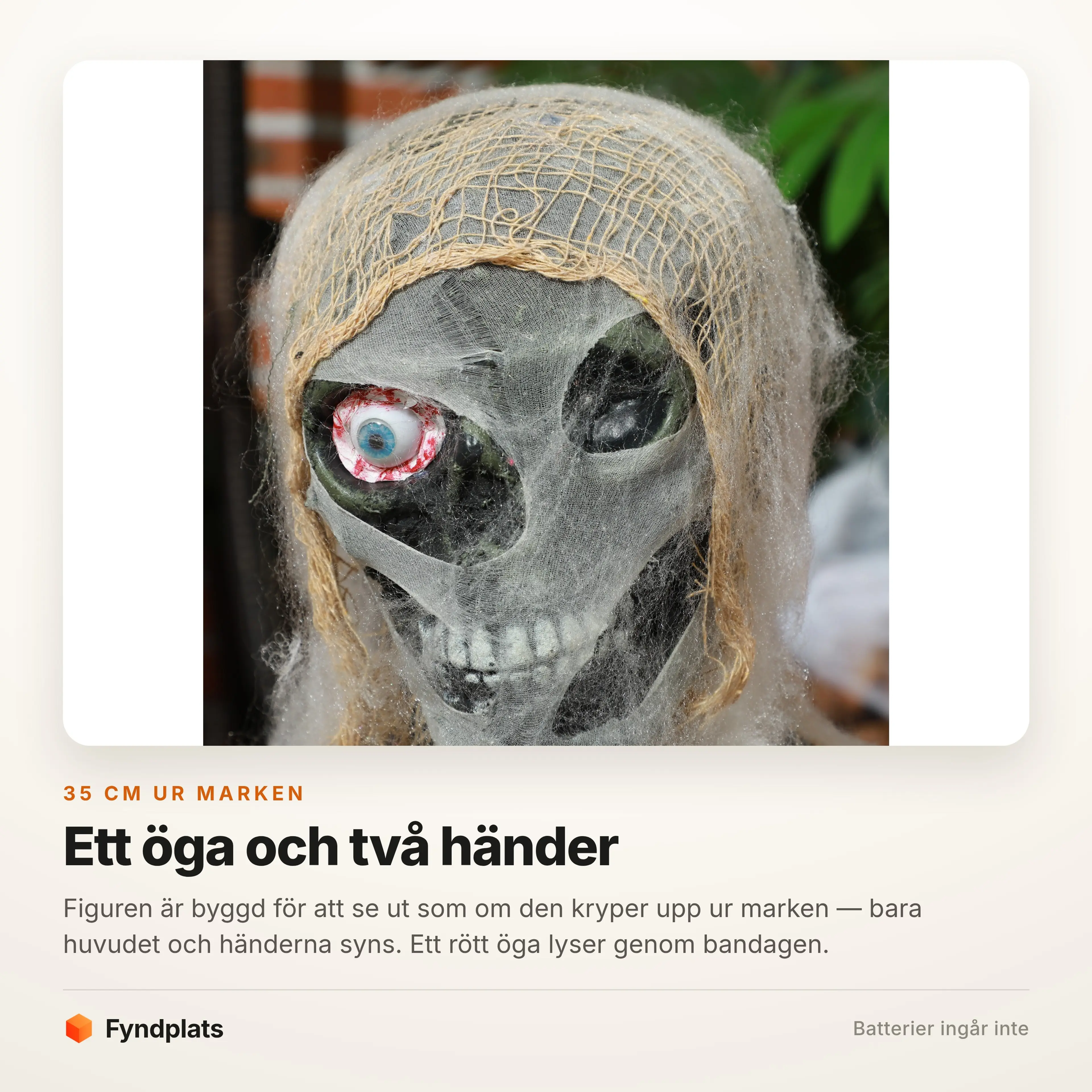 Närbild på mumiens enda röda öga