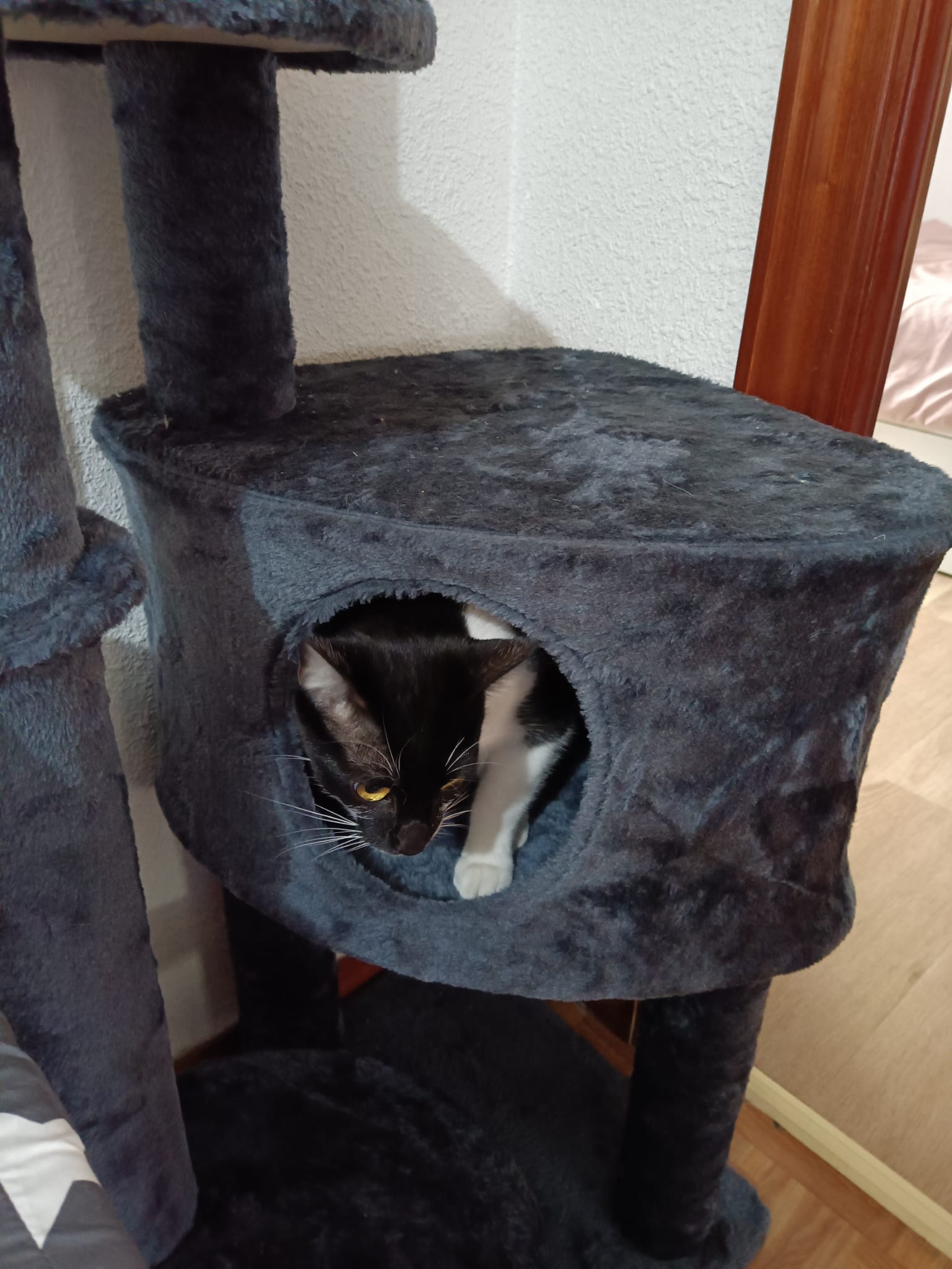 Kundbild från A.B.
