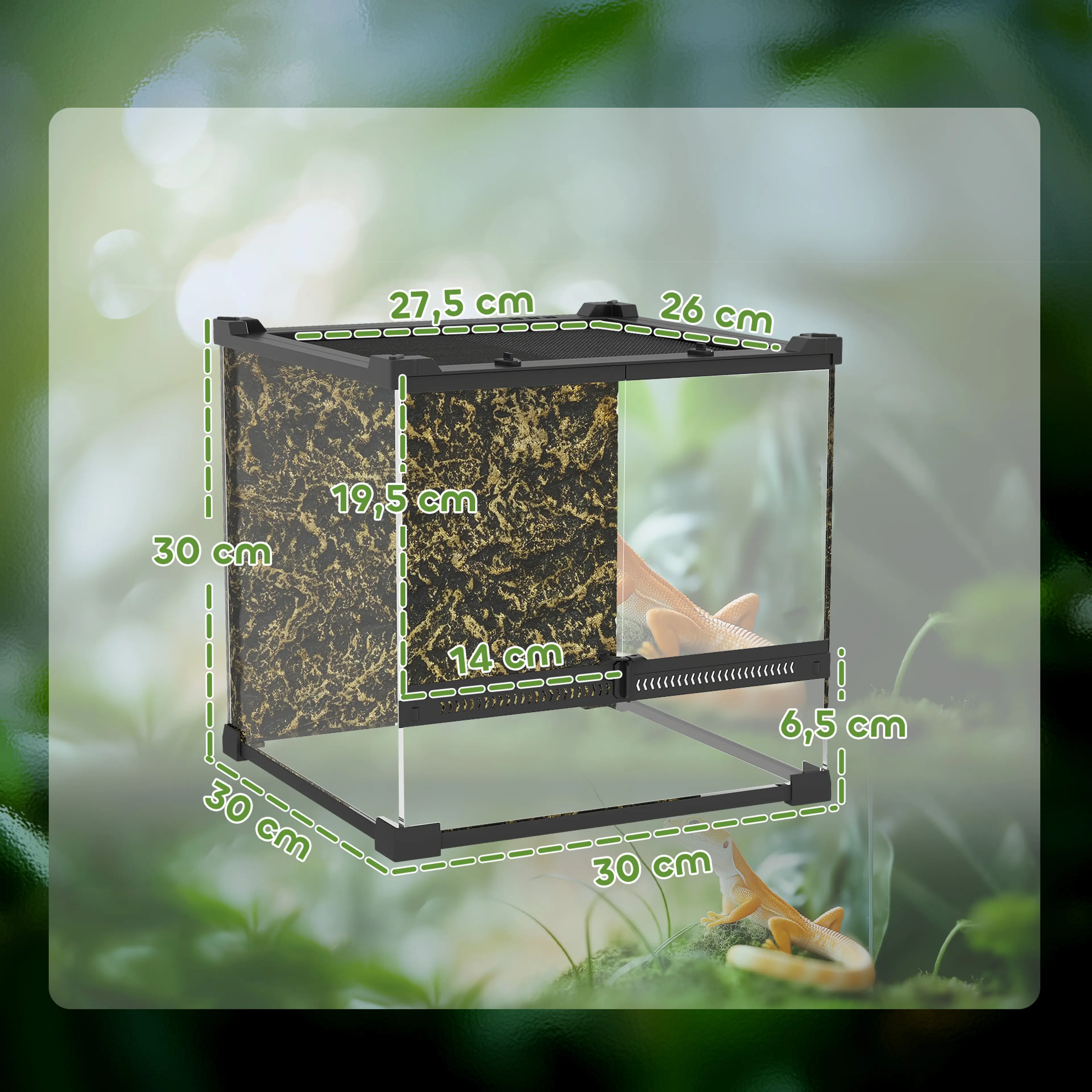 Litet glasterrarium 30 × 30 × 30 cm med strukturerad bakvägg – bild 4