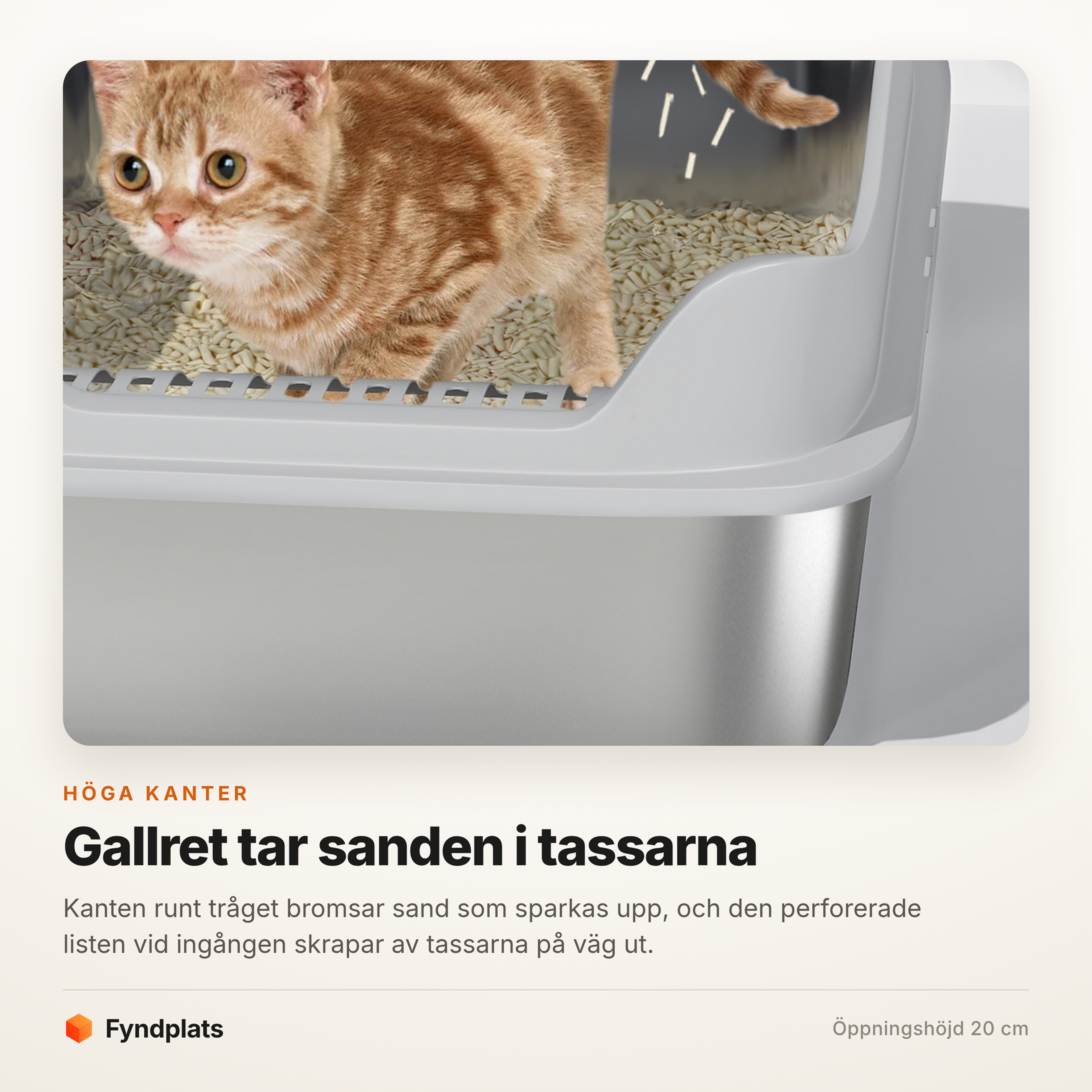 Katt på väg ut över den perforerade listen som skrapar av sanden ur tassarna