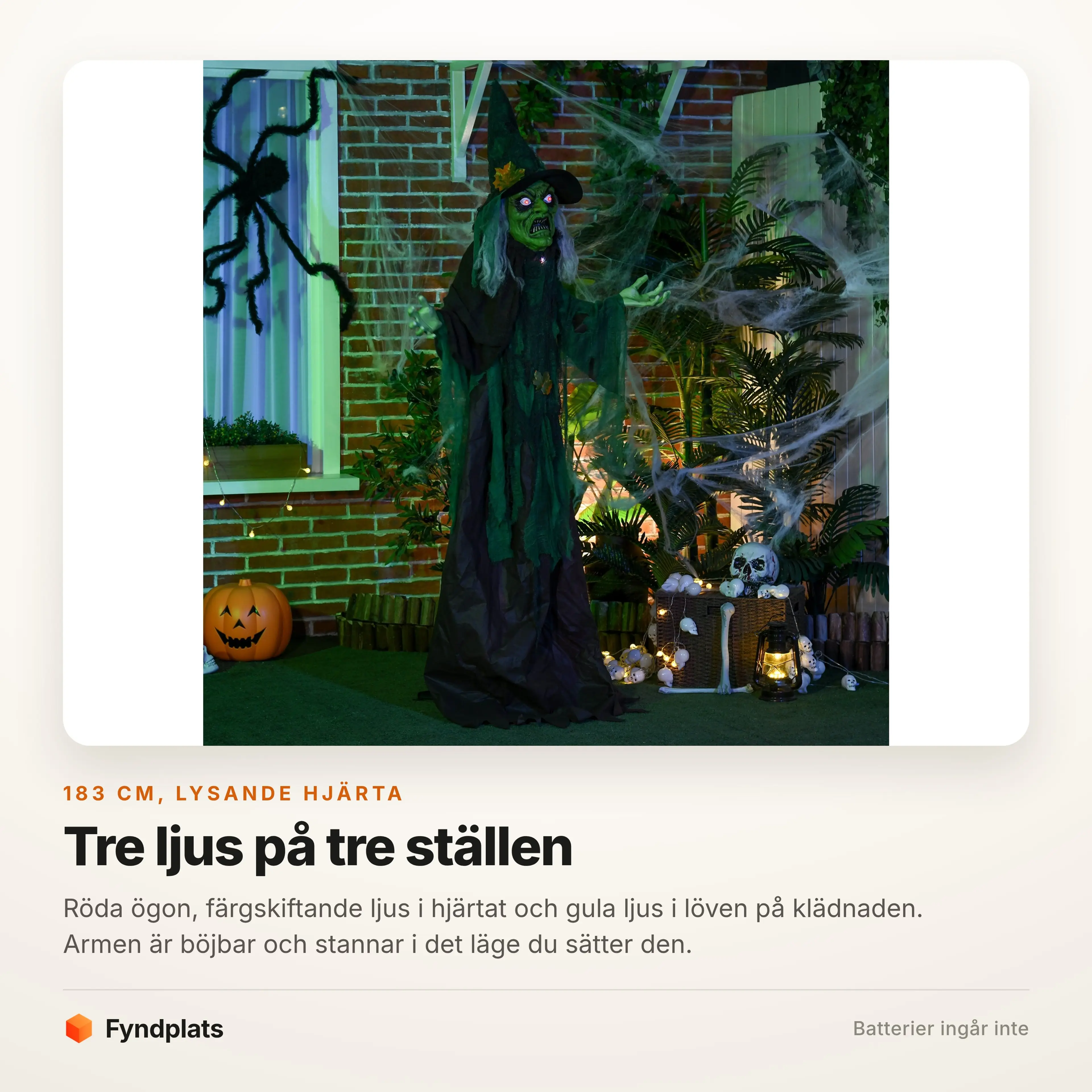 Häxan upplyst i en trädgård med spindelnät