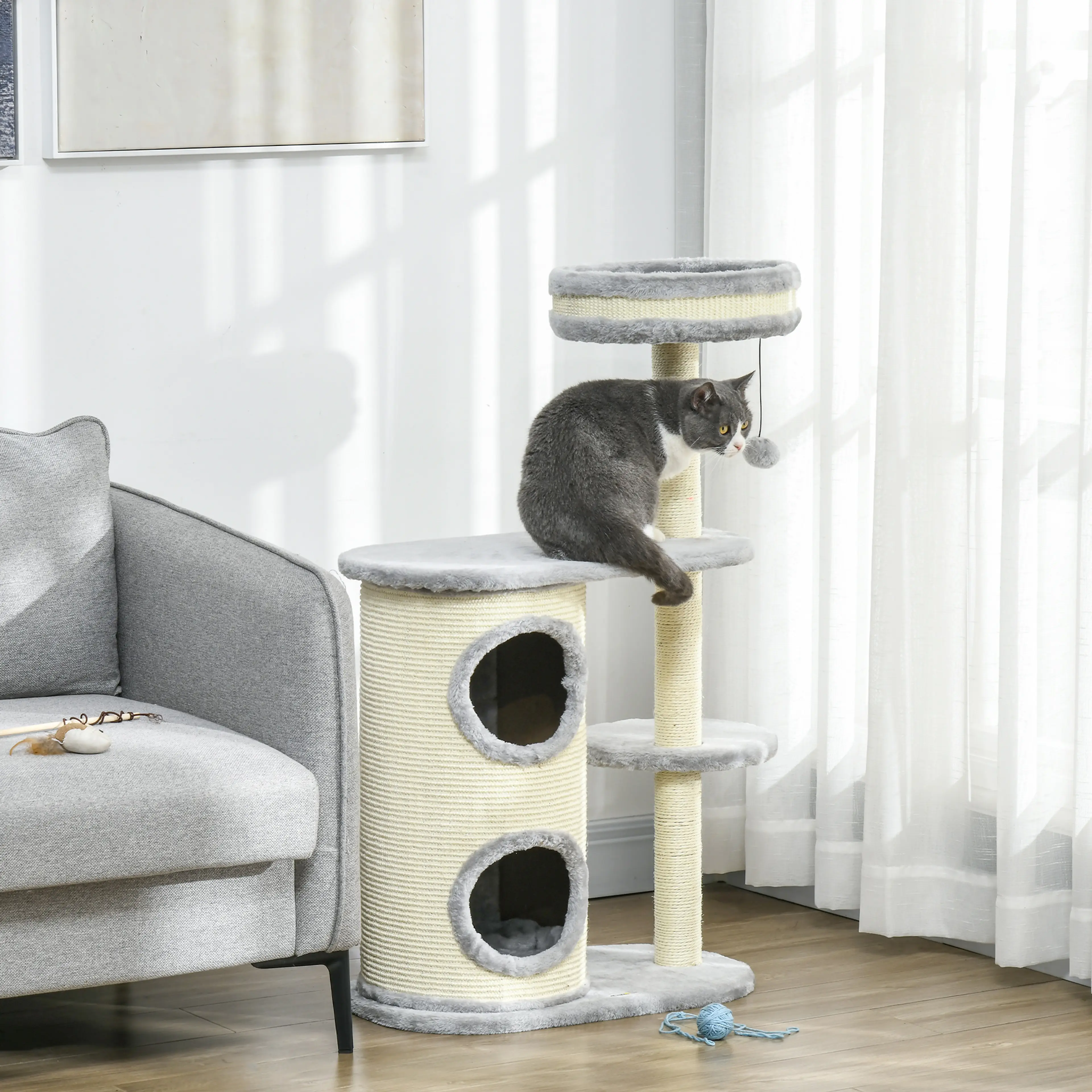 Den grå klöstunnan vid ett fönster med gardin, en katt på mellanplanet