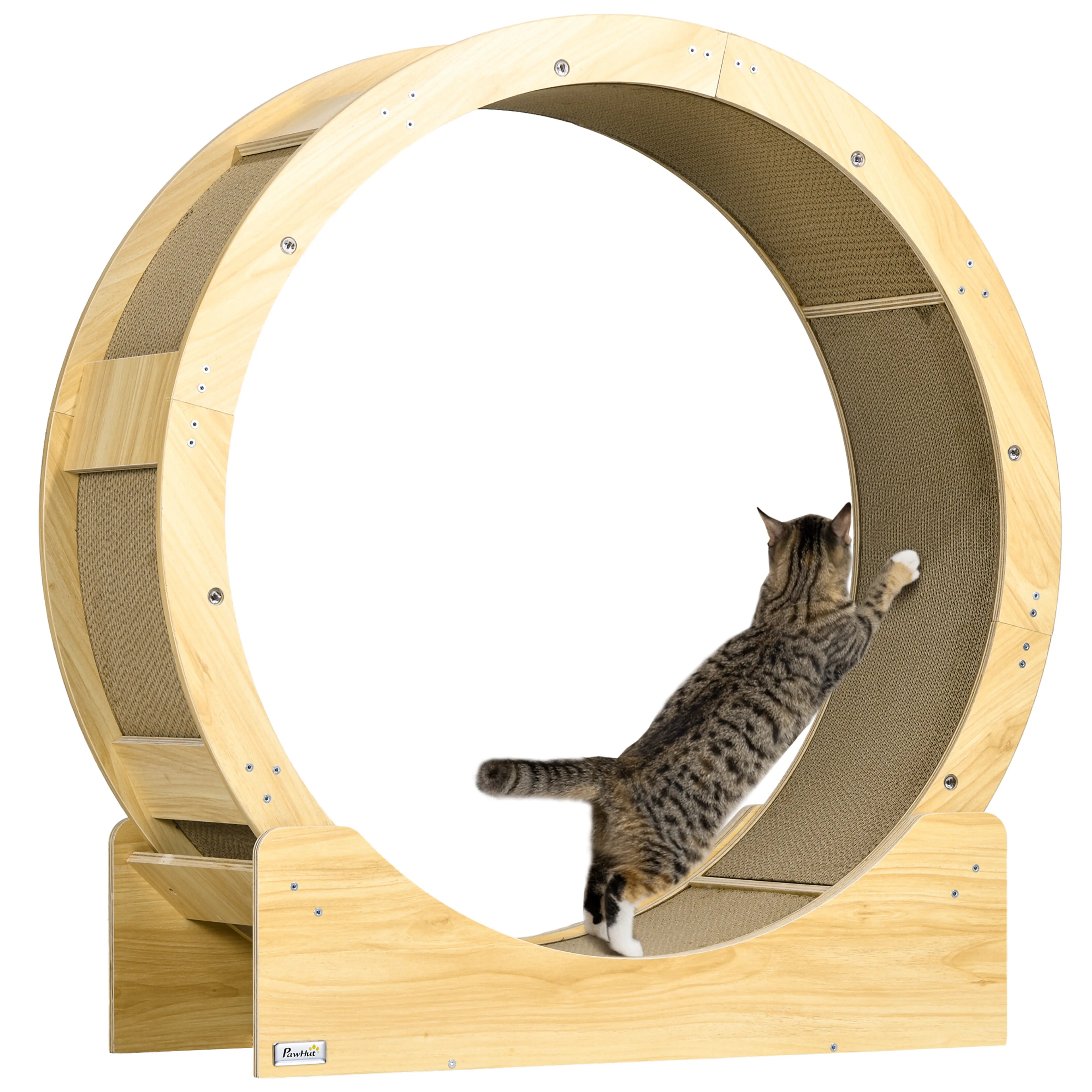 En randig katt springer i katthjulet, på vit bakgrund