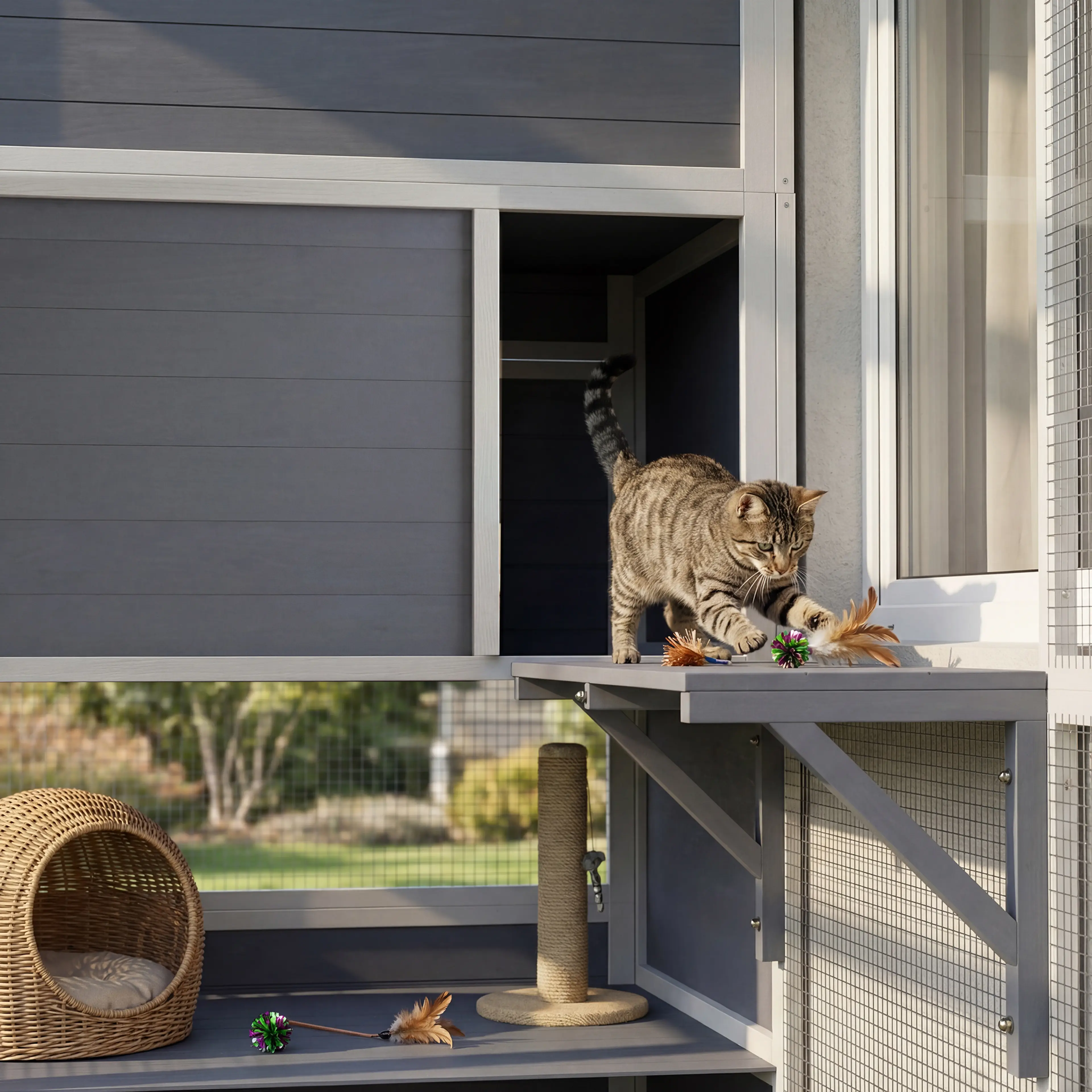 Katt på en plattform inne i rastgården med innerhusets öppning bakom