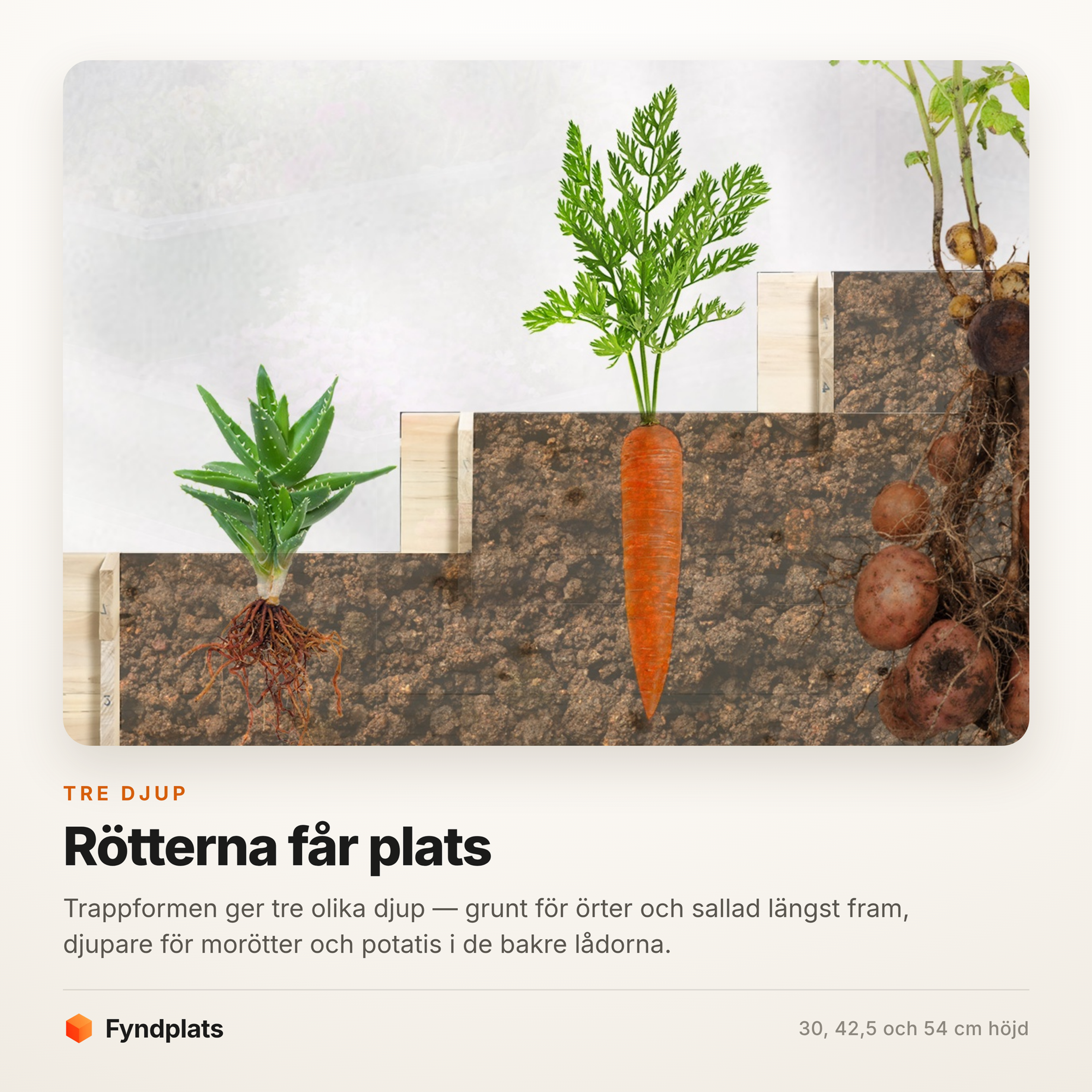 Fyndplats faktakort: odlingslådans tre nivåer ger olika djup för örter, morötter och potatis