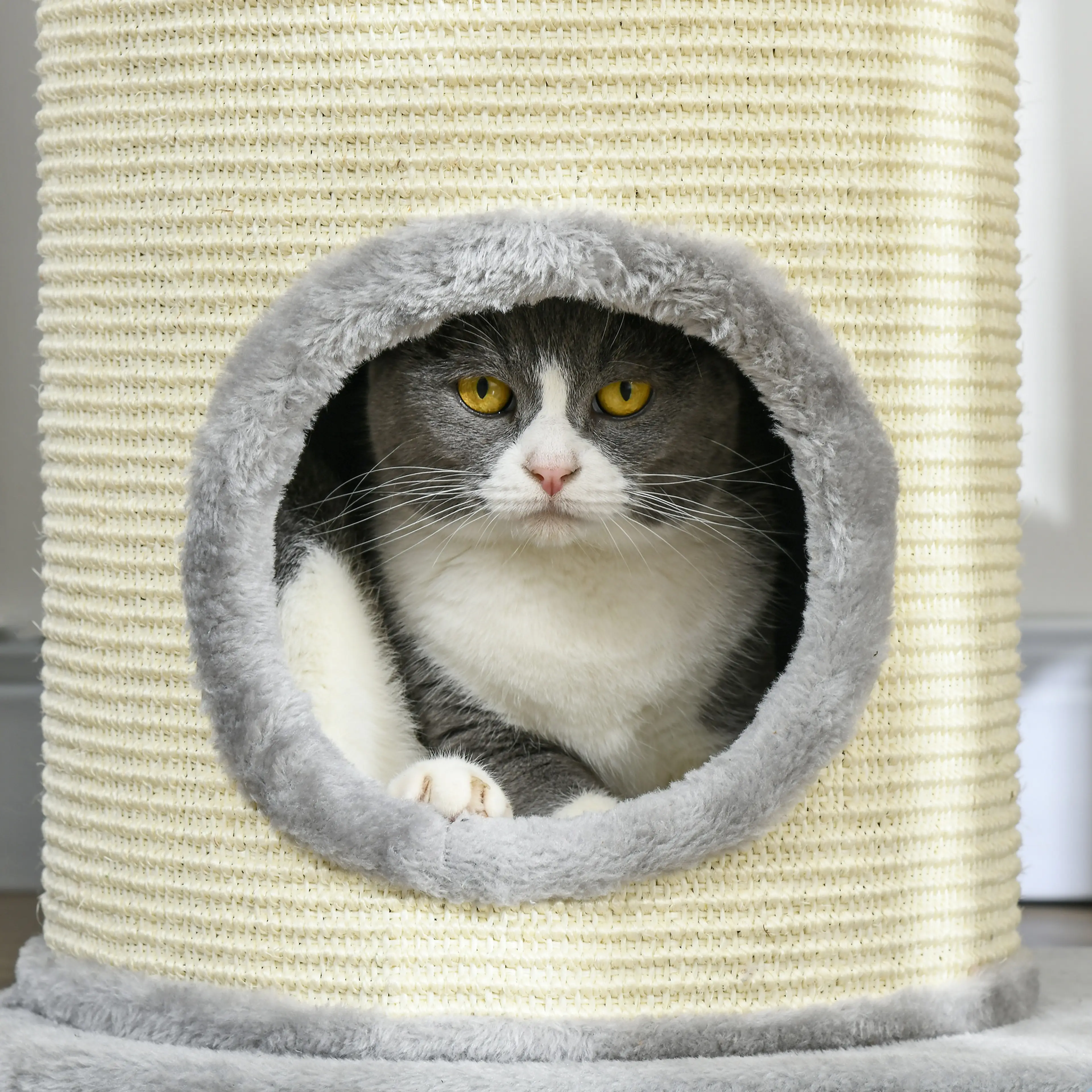 Katt som tittar ut ur den nedre grottan, med sisalklädd tunna runt ingången