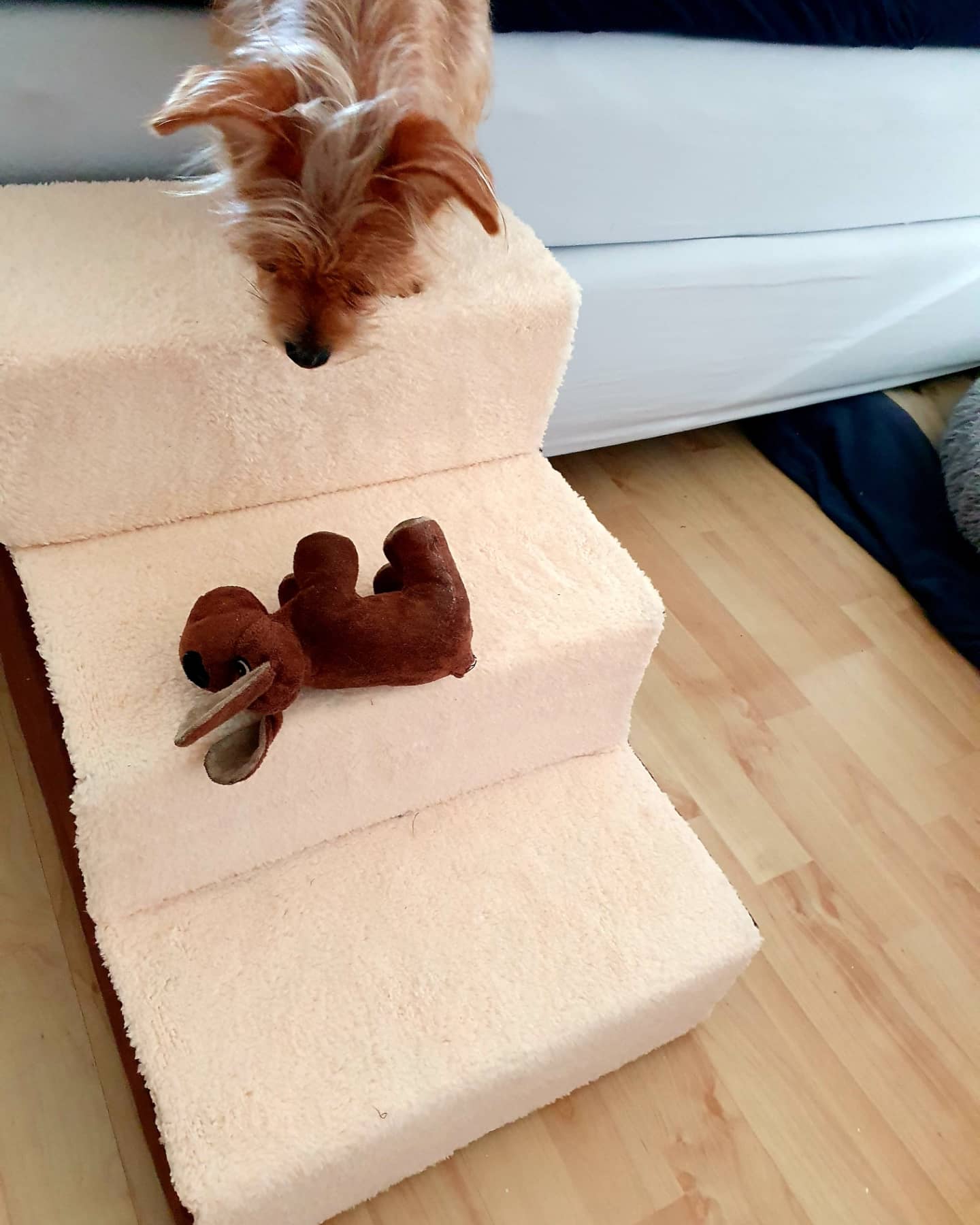 Kundbild från B.C.