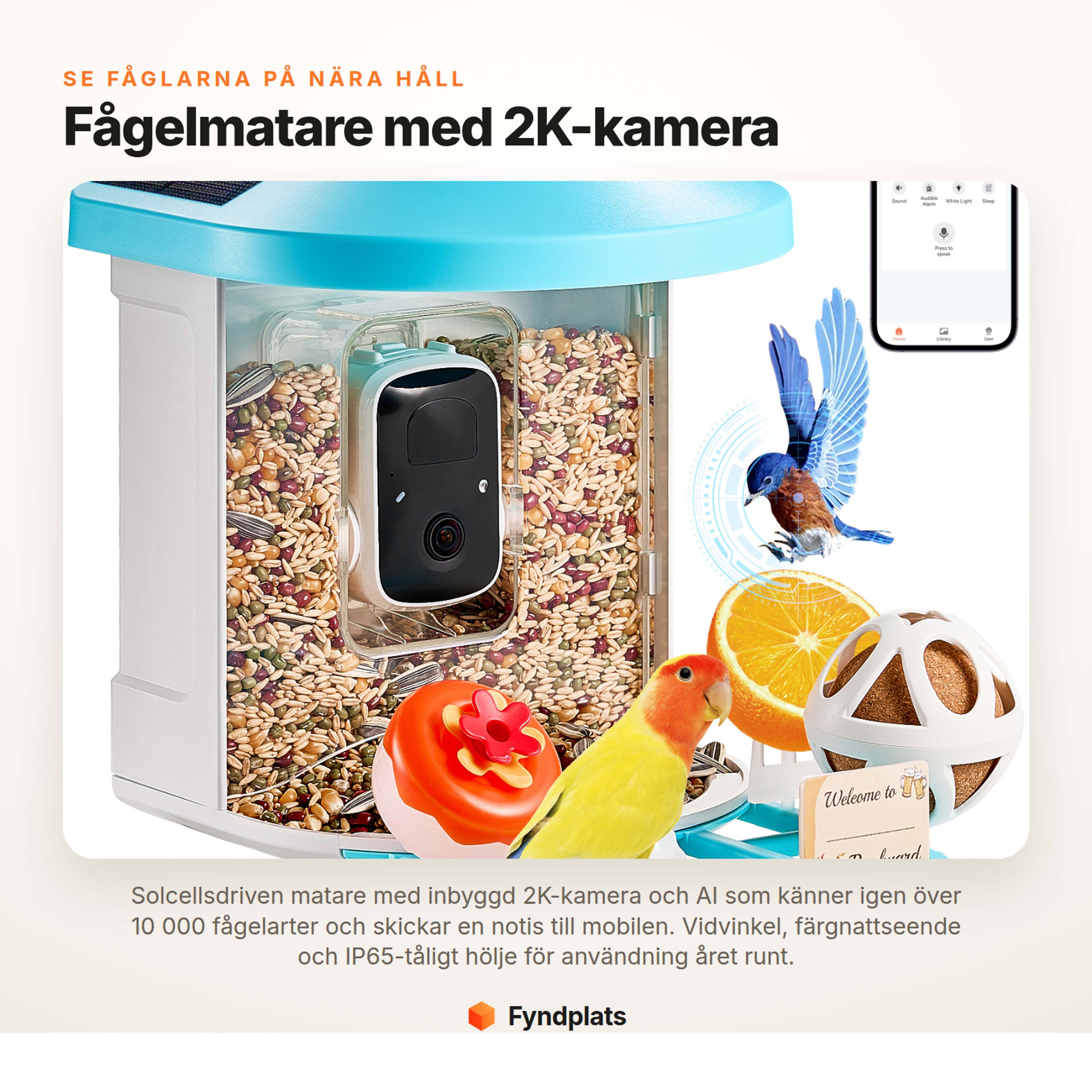 Fågelmatare med kamera 2K HD, AI-igenkänning och soldriven