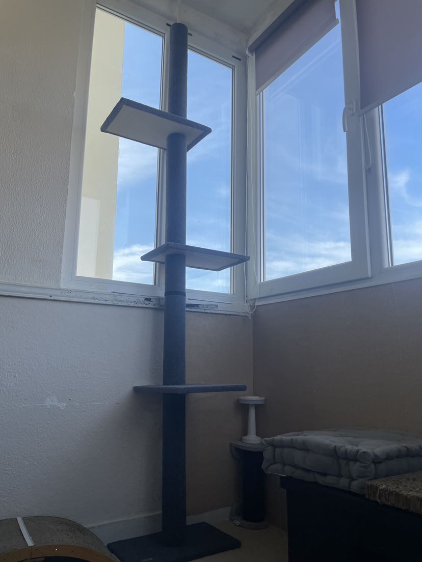 Kundbild från B.C.