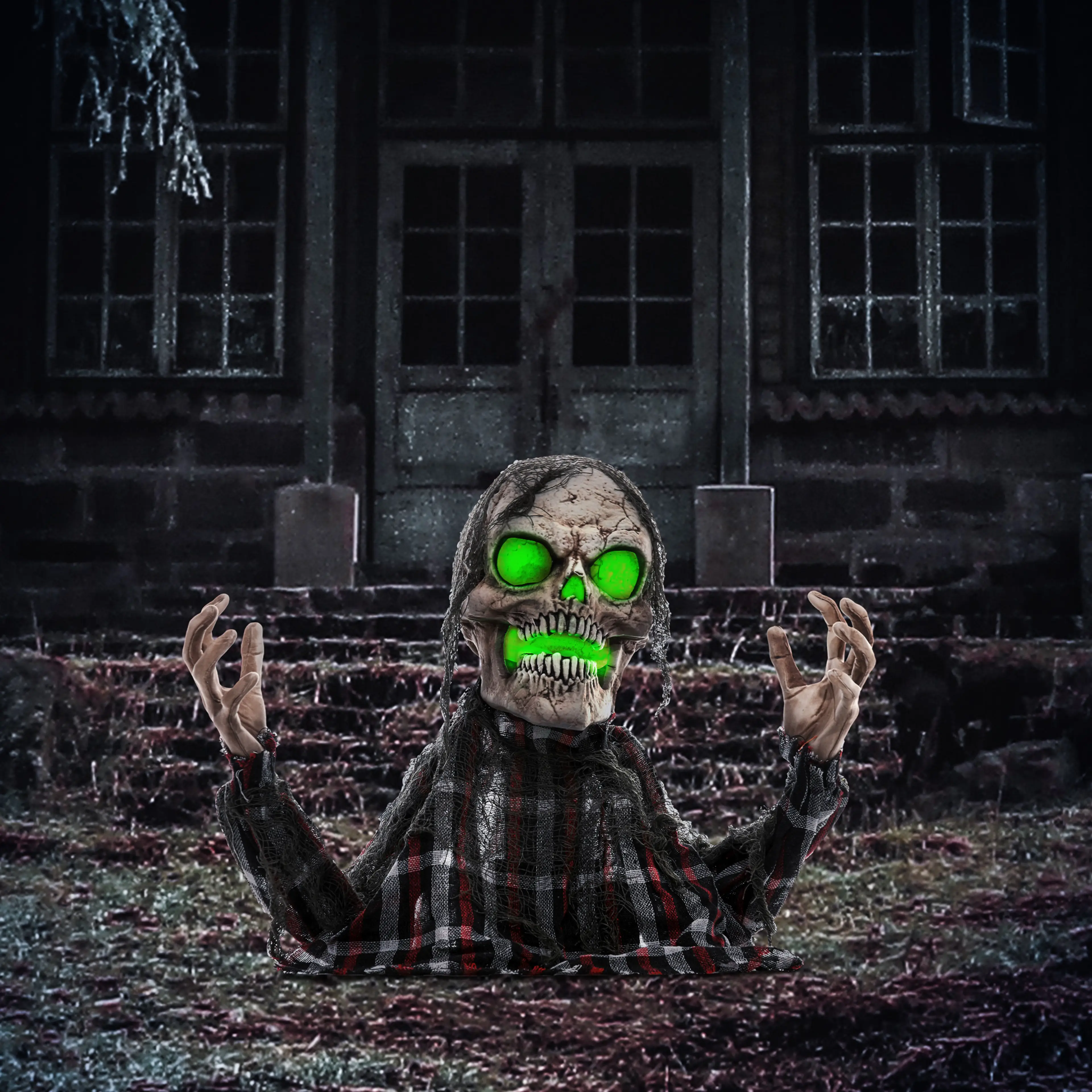 Skelettet i gräset framför ett mörkt hus