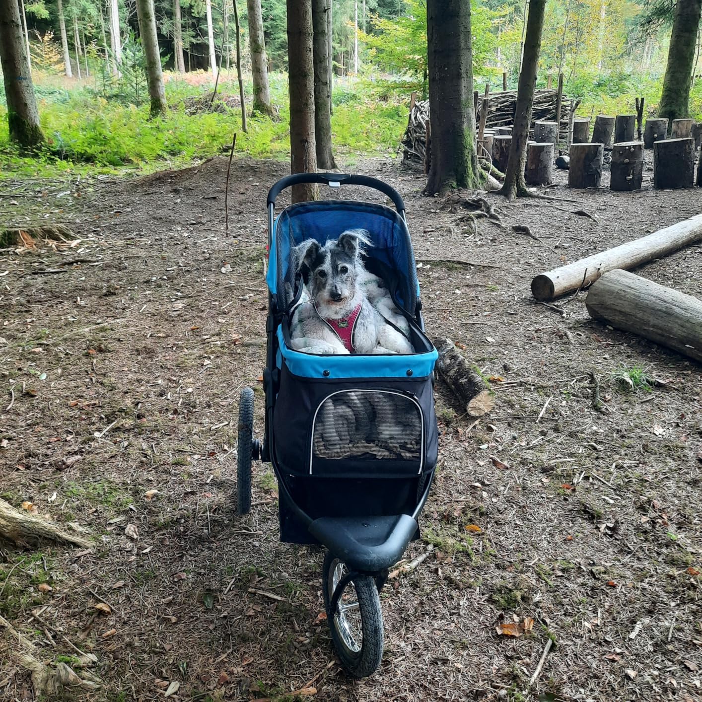 Kundbild från D.E.