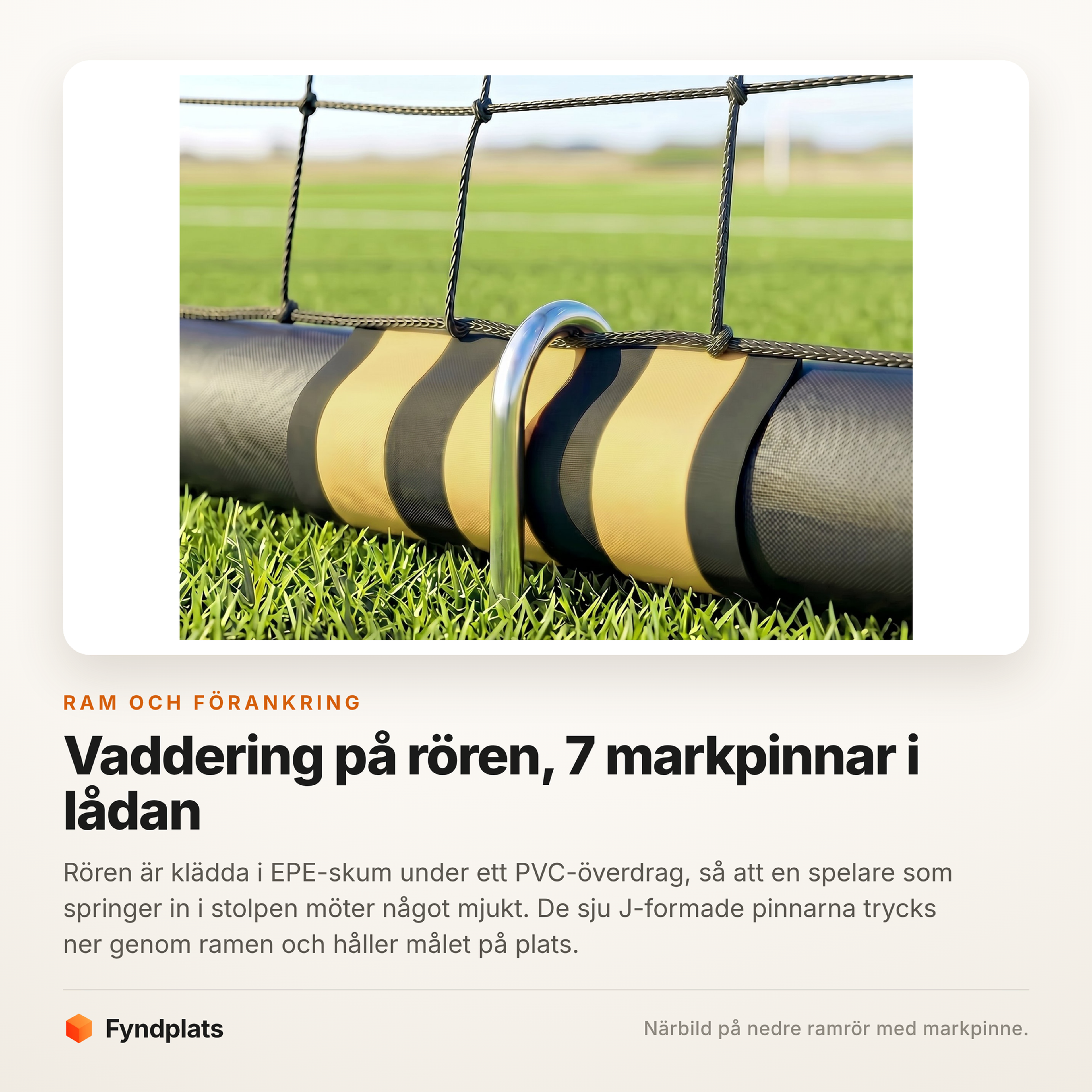 Närbild på vadderat ramrör med J-formad markpinne i gräset