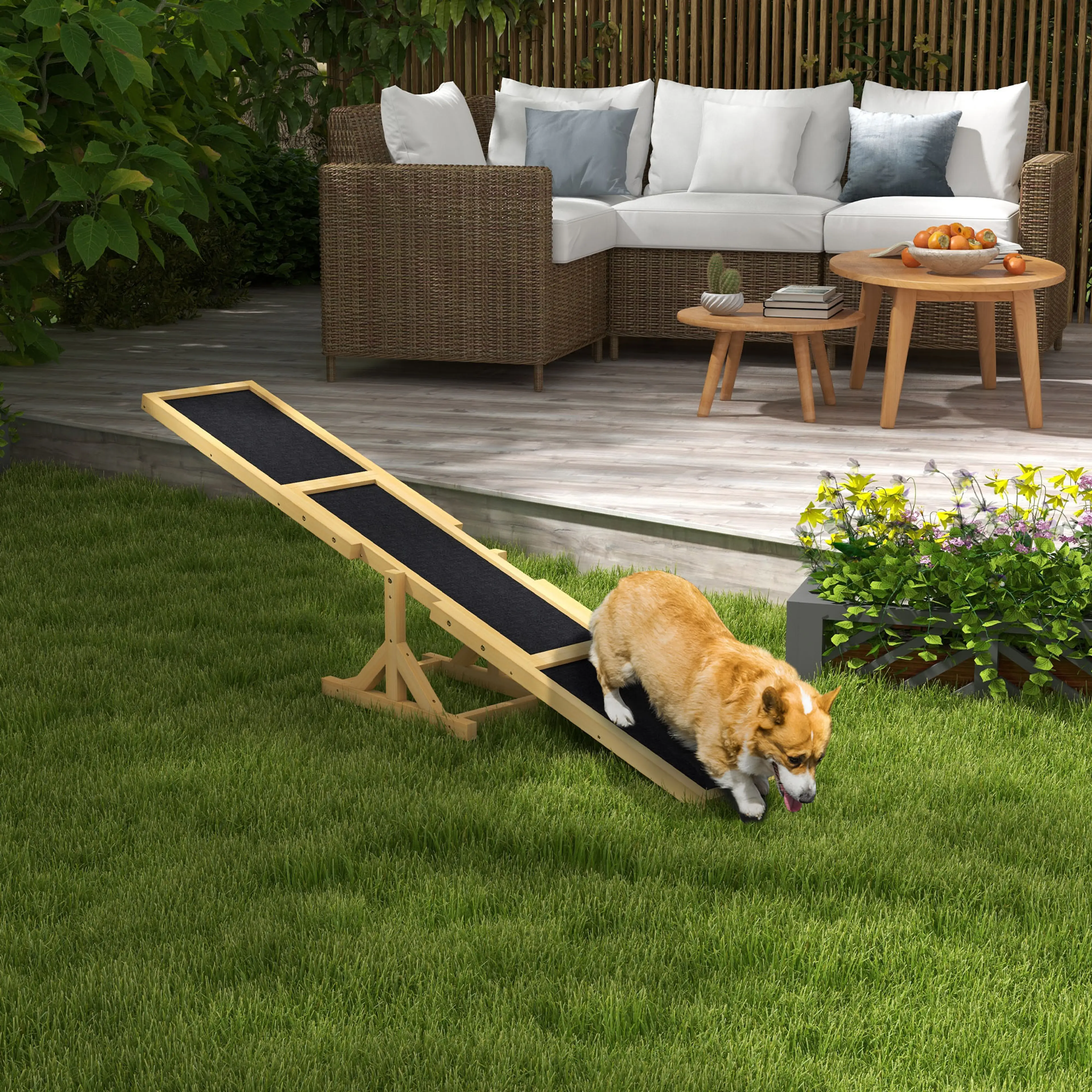 Hundvippa på gräsmattan framför en uteplats där en corgi går ner för plankan