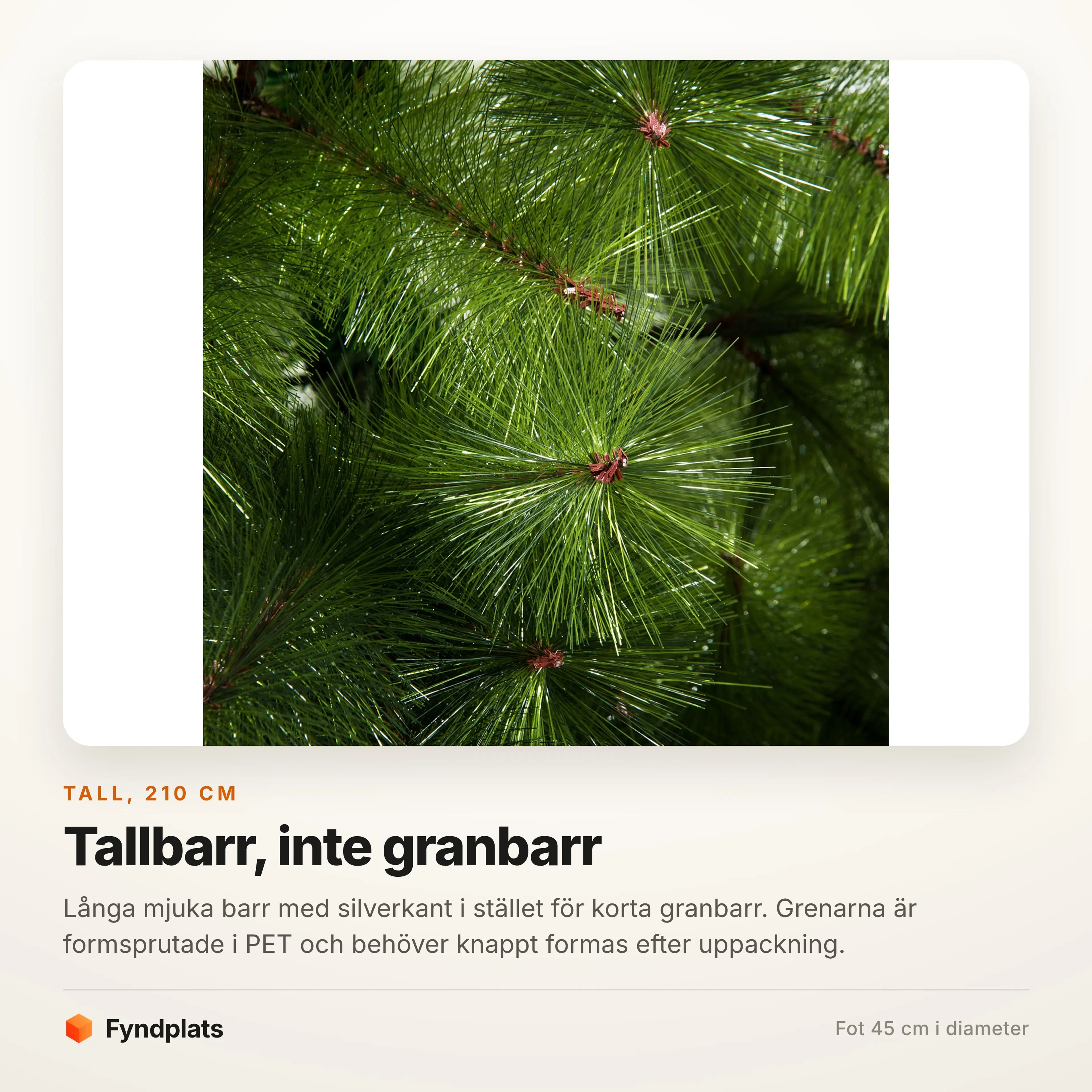 Närbild på de långa tallbarren
