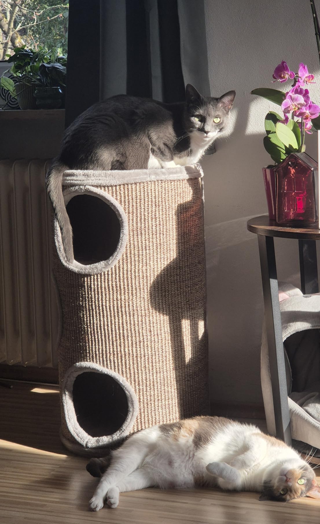 Kundbild från W.X.