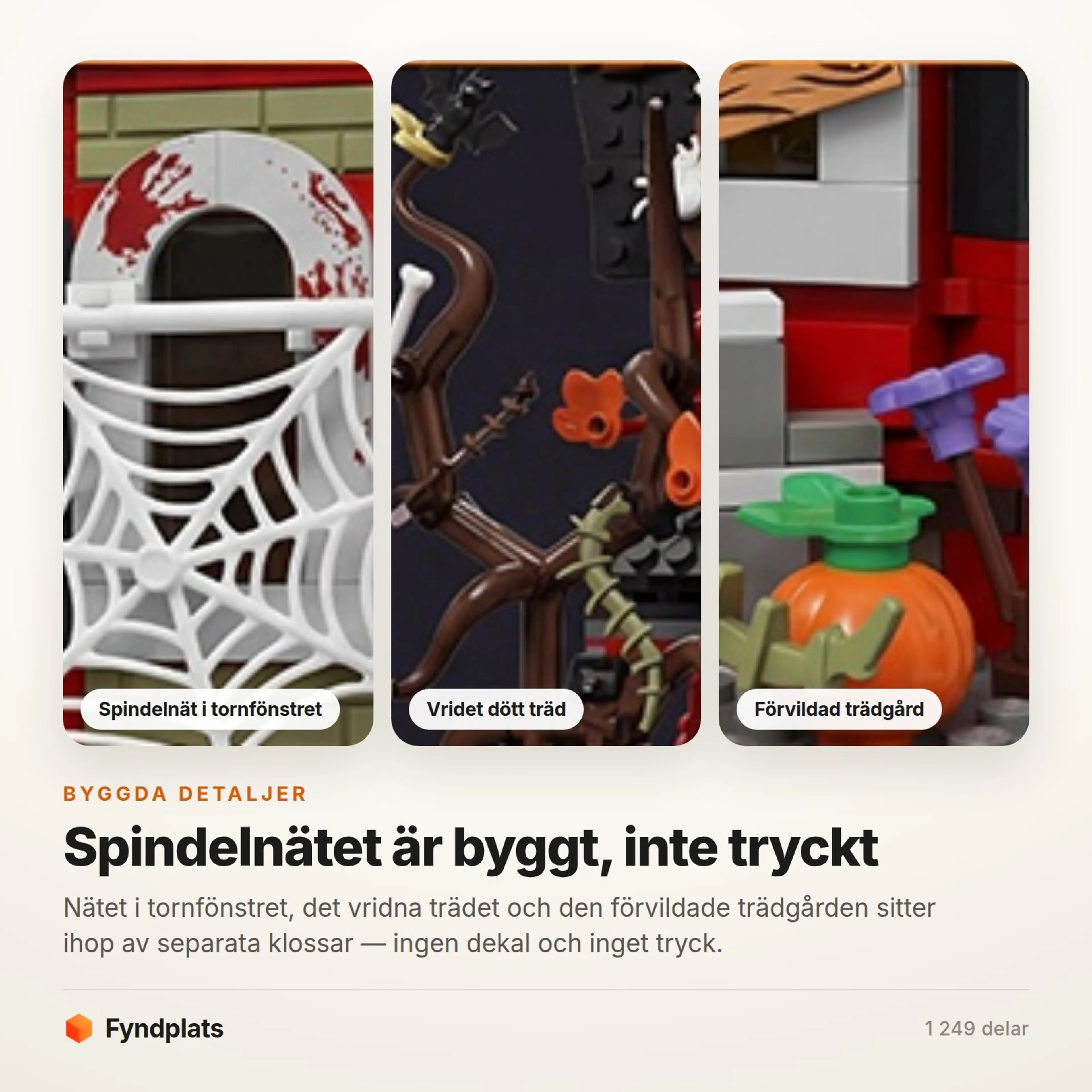 Fyndplats-kort: närbilder på spindelnätet i tornfönstret, det vridna trädet och den förvildade trädgården