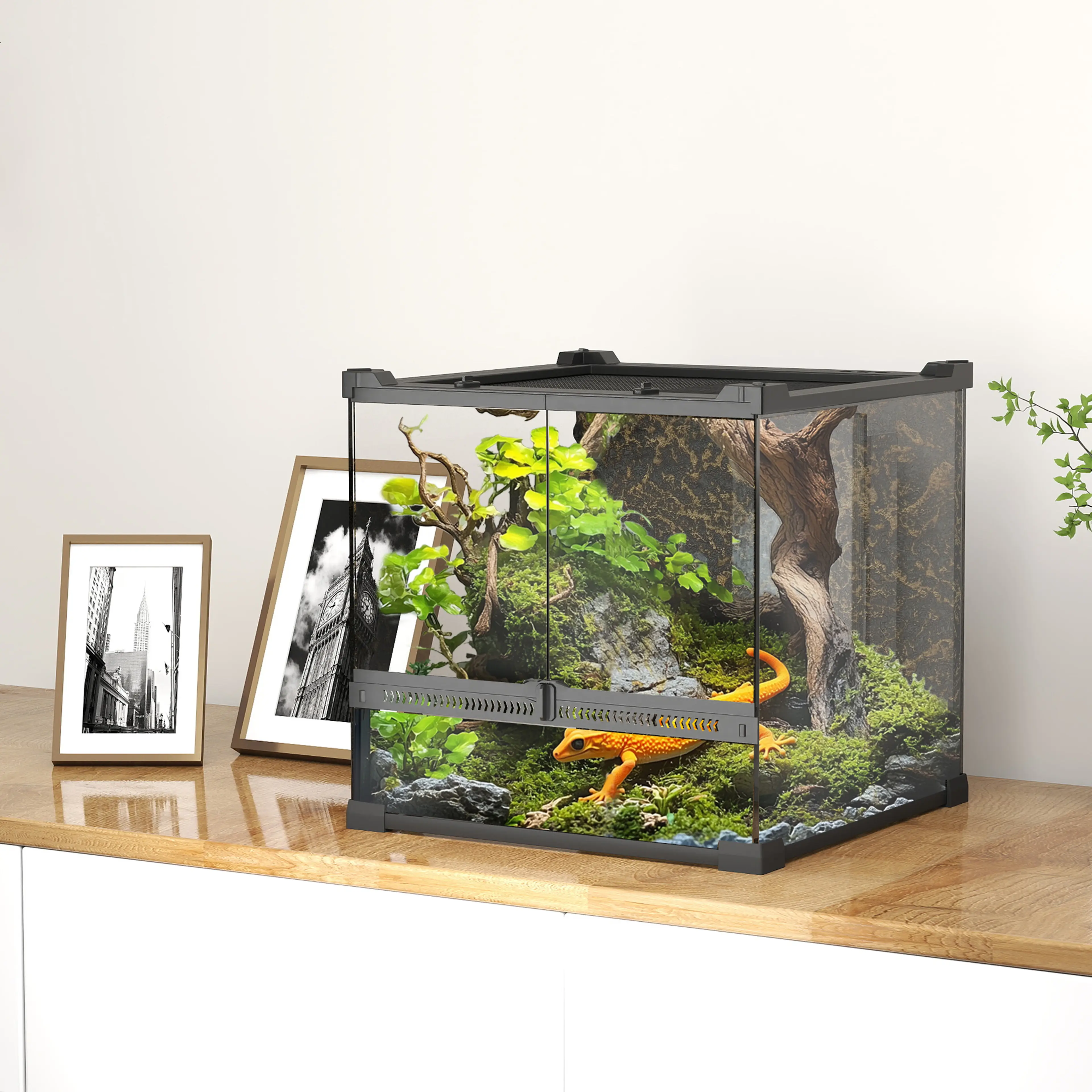 Litet glasterrarium 30 × 30 × 30 cm med strukturerad bakvägg