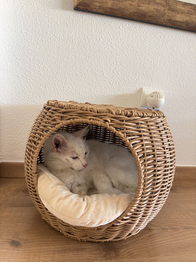 Kundbild från L.M.