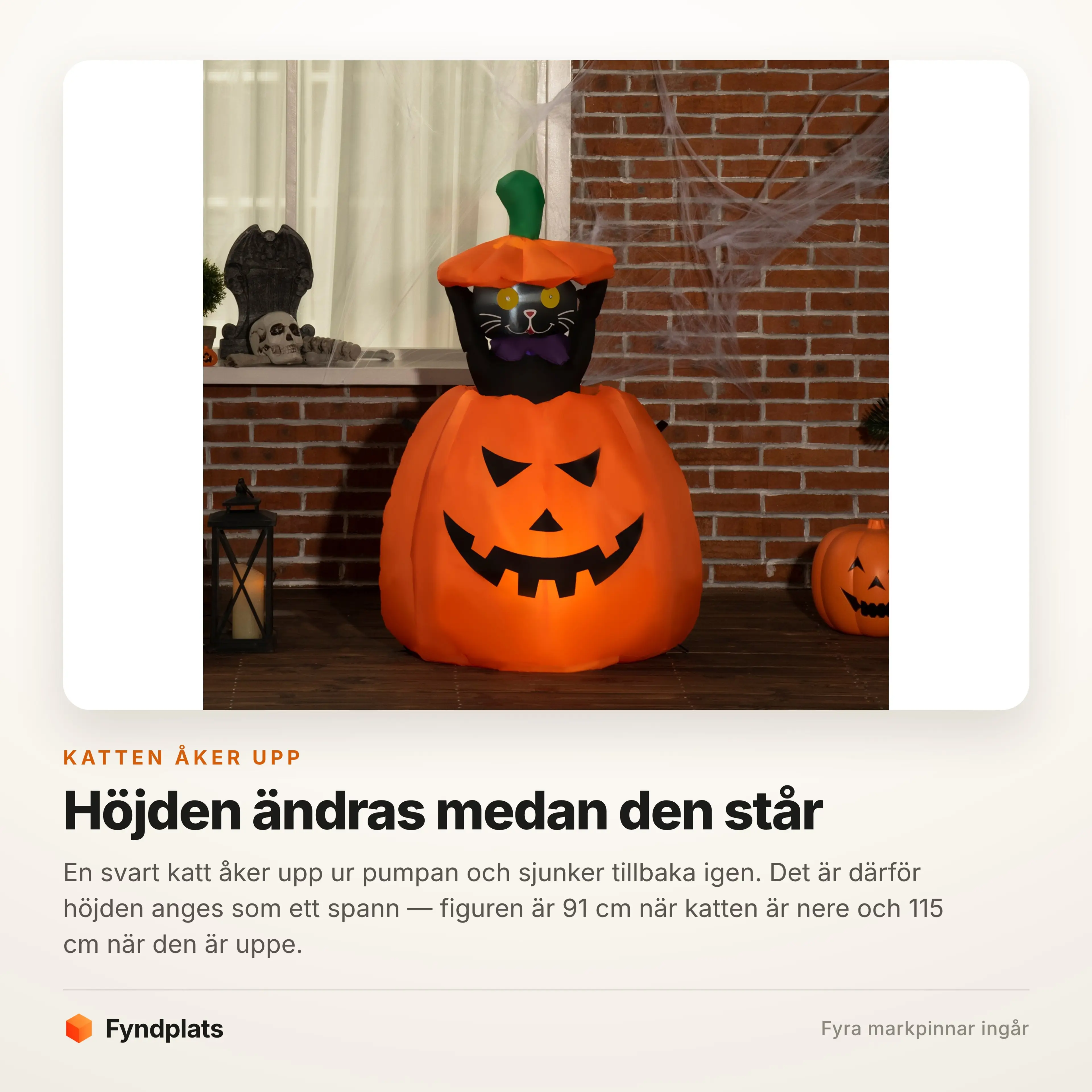 Pumpan upplyst med katten uppe i locket