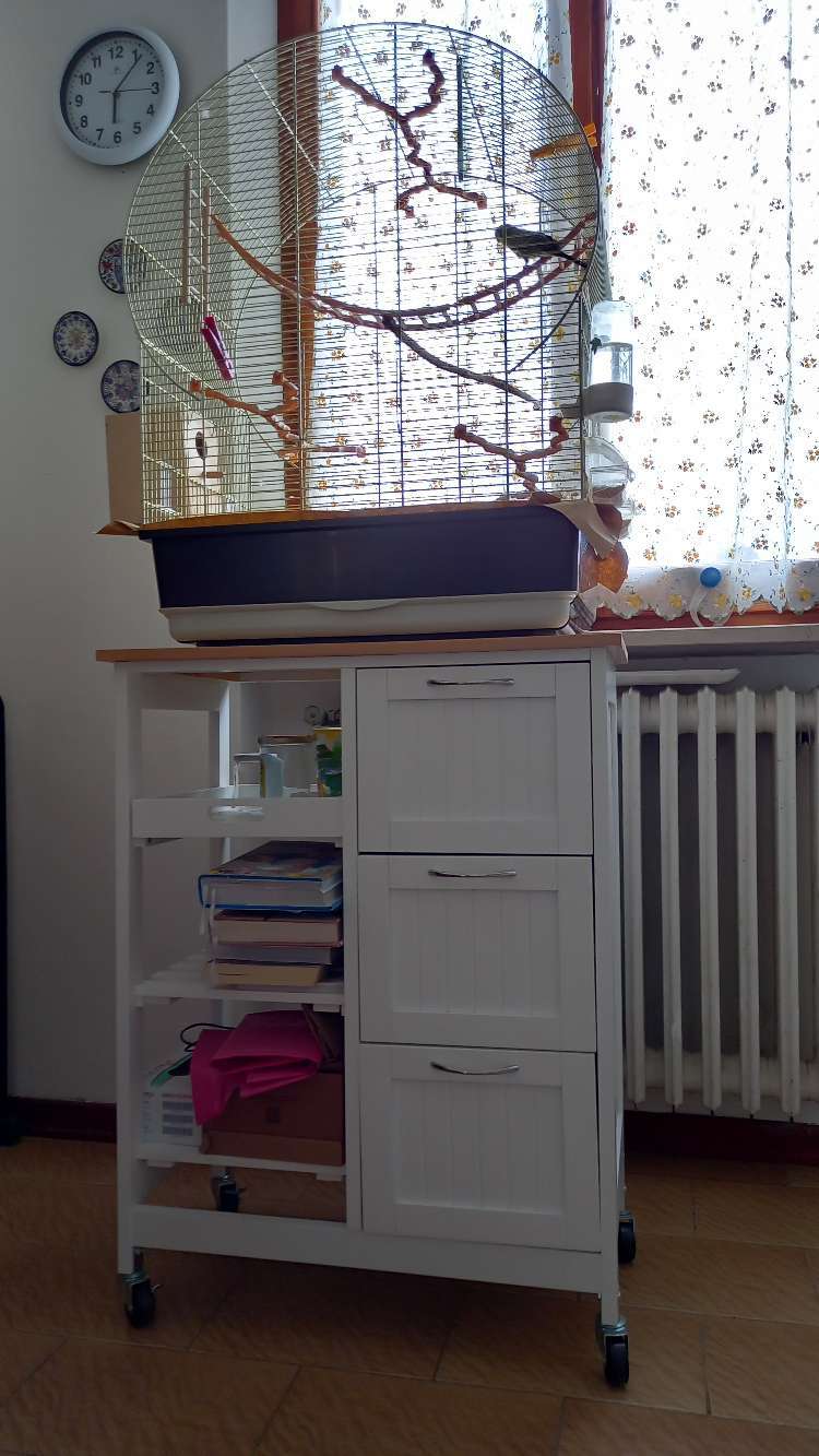 Kundbild från X.Y.