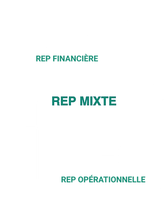 REP_mixte_schema_FR.png