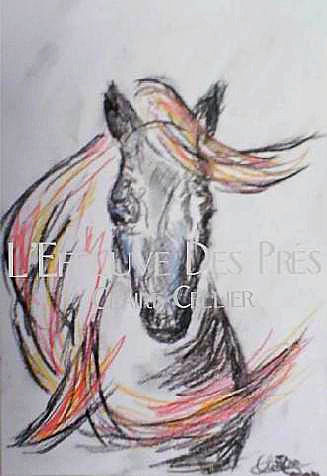 Horseasia
