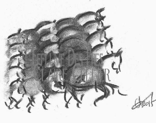 L'évolution