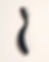 Lash Spike Brush