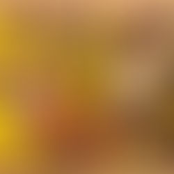 Atelier LIGHT STUDENT ORIGIN 2022