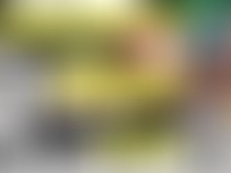 鍋島 哲治 SOLO EXHIBITION 「DISTORTION POPS」