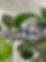 IMG_1977.jpeg