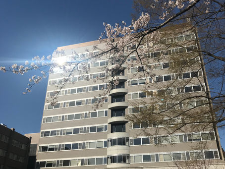 The Spring is coming!