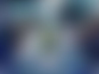 Fieldwork in Chengdu