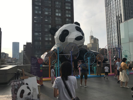 A productive fieldwork on school-to-school collaboration in Chengdu.