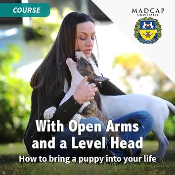 Open Arms image.webp