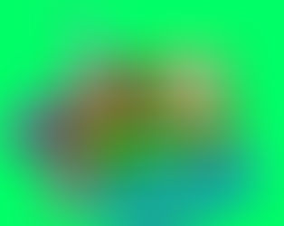 The Scientist Meow - Education Game