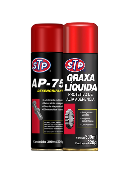 KIT REVISÃO STP 2 COMPONENTES