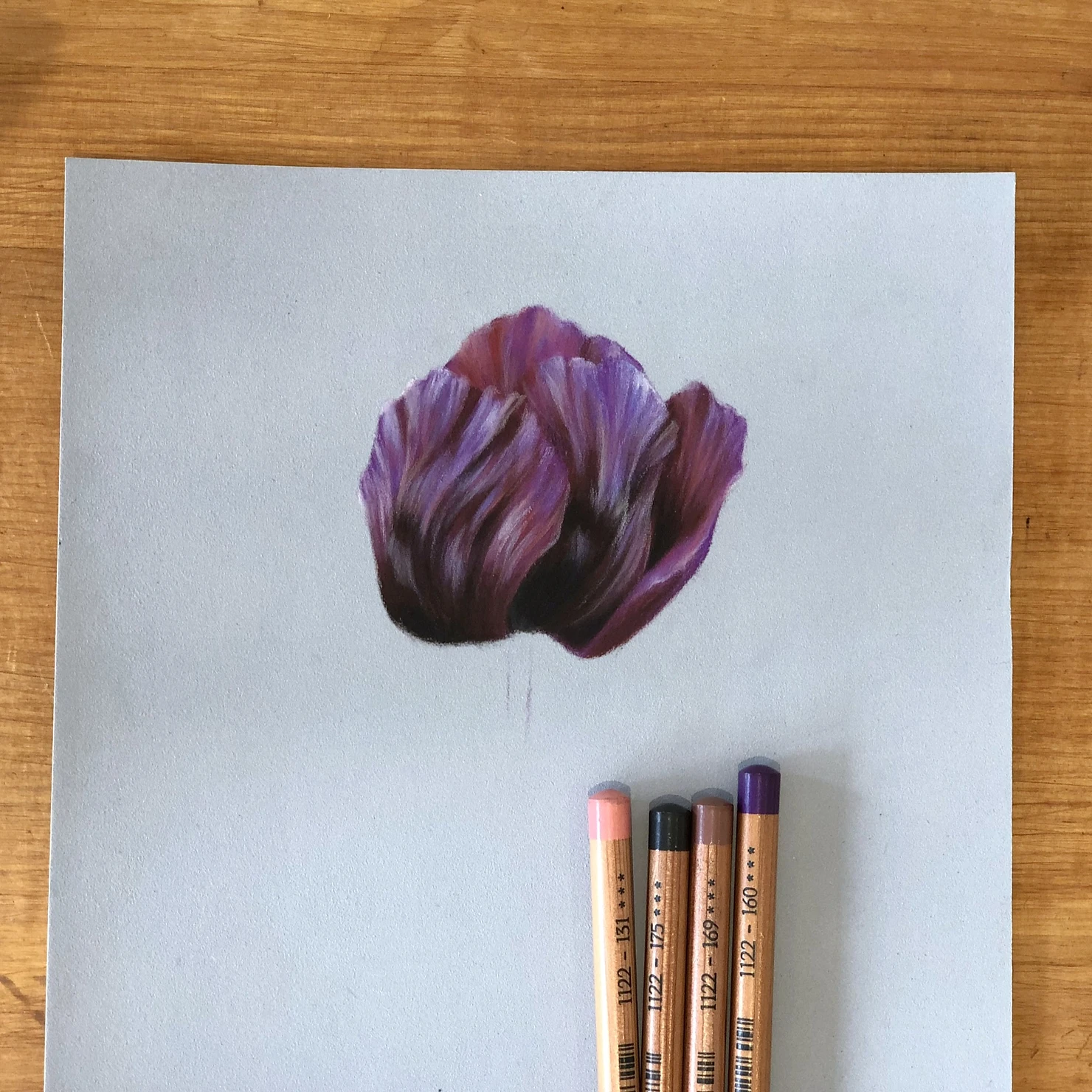 POPPY, DRAWING, FLOWER, FLOWER ART, FLOWER PAINTING, POPPIES, POPPY ART, POPPY SKETCH, poppy, purple, purple flower, purple poppy, petal, purple petal, faber castell, pitt pastel, 140, artist, pastel art, pastel flower, pastel painting, pastel tutorial, how to use pastel pencils, what to do with pastel pencils, how to draw with pastel, how to draw with pastel pencils, learn art, how to draw