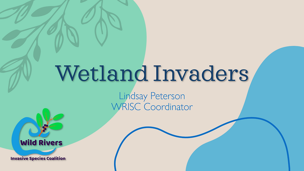 WRISC Webinar Series - NISAW 2023 - Wetland Invaders